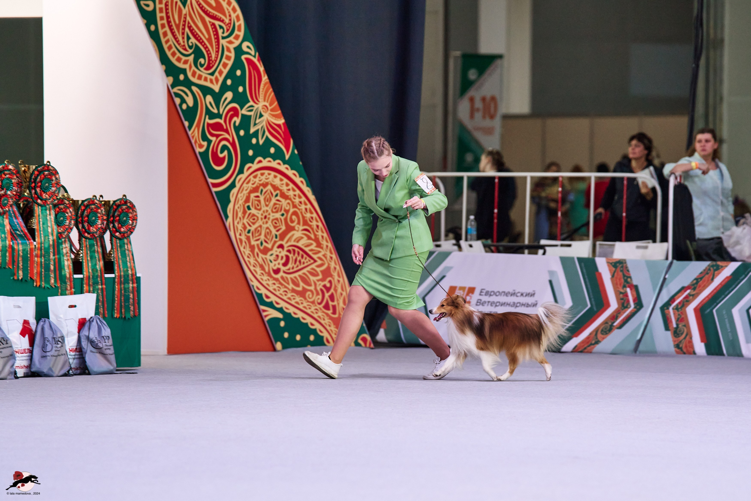 17.11.2024 «ЕВРАЗИЯ. КУБОК СНГ 2024»