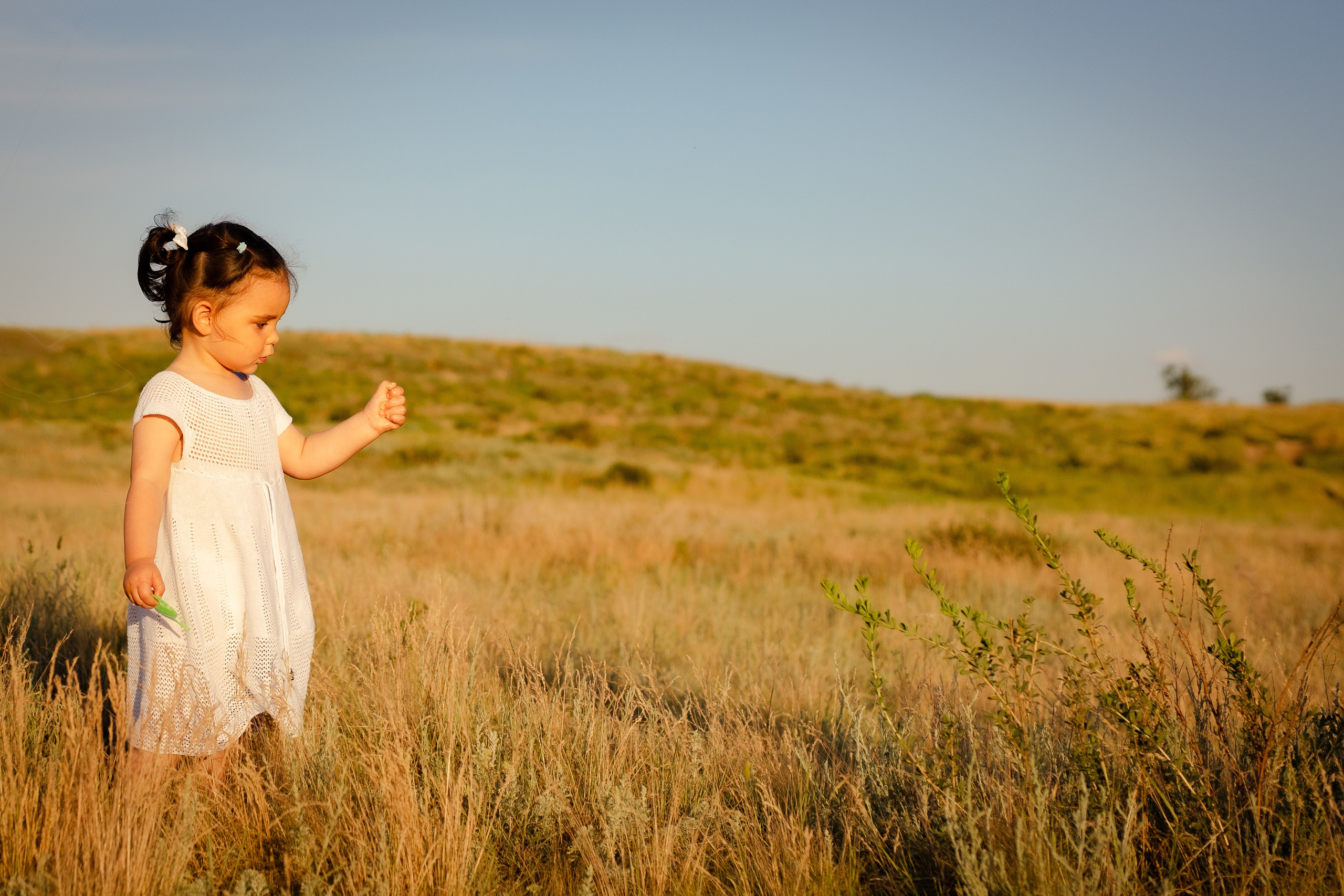 Летняя. Свадебный и женский фотограф