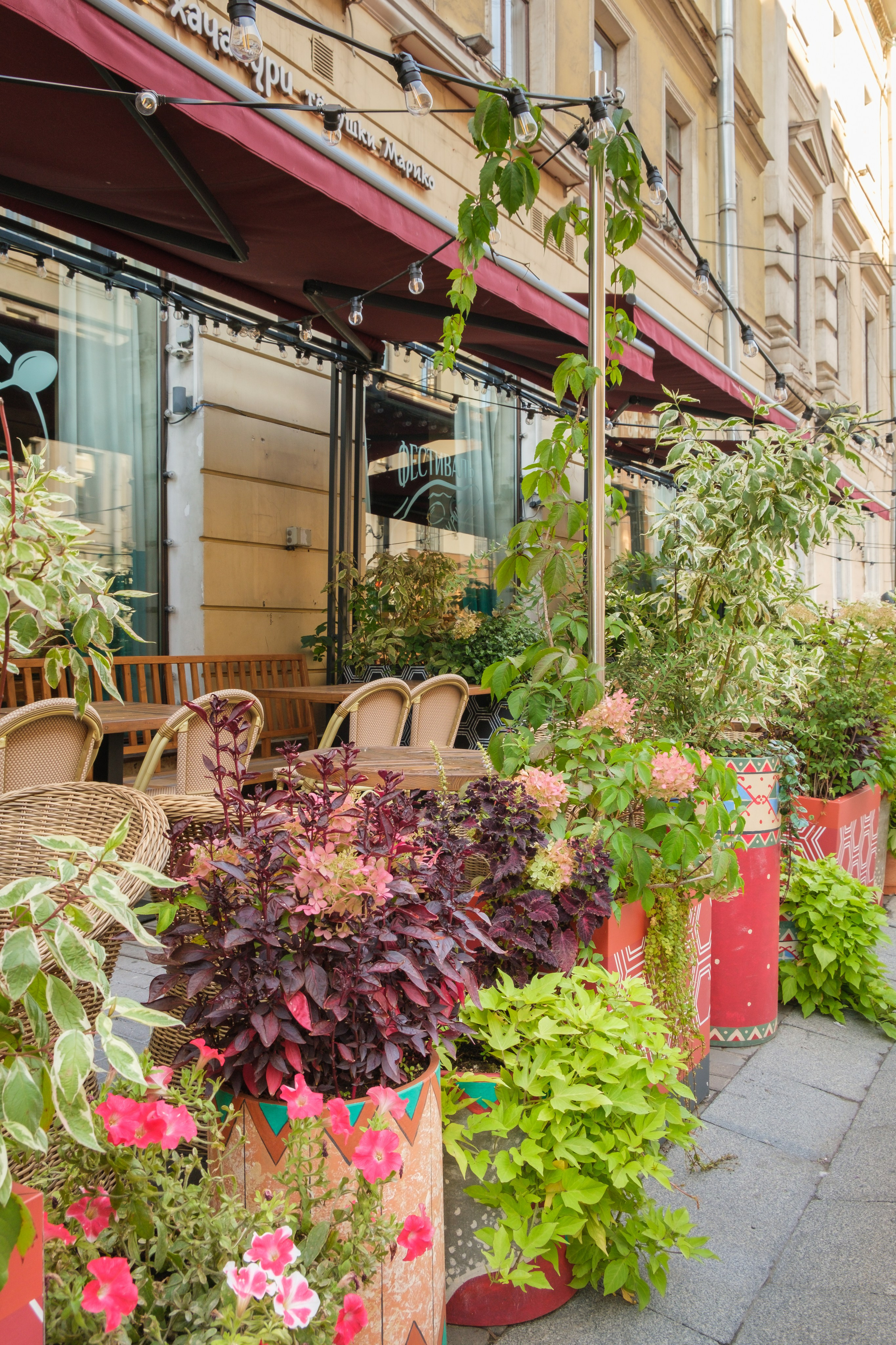 Озеленение