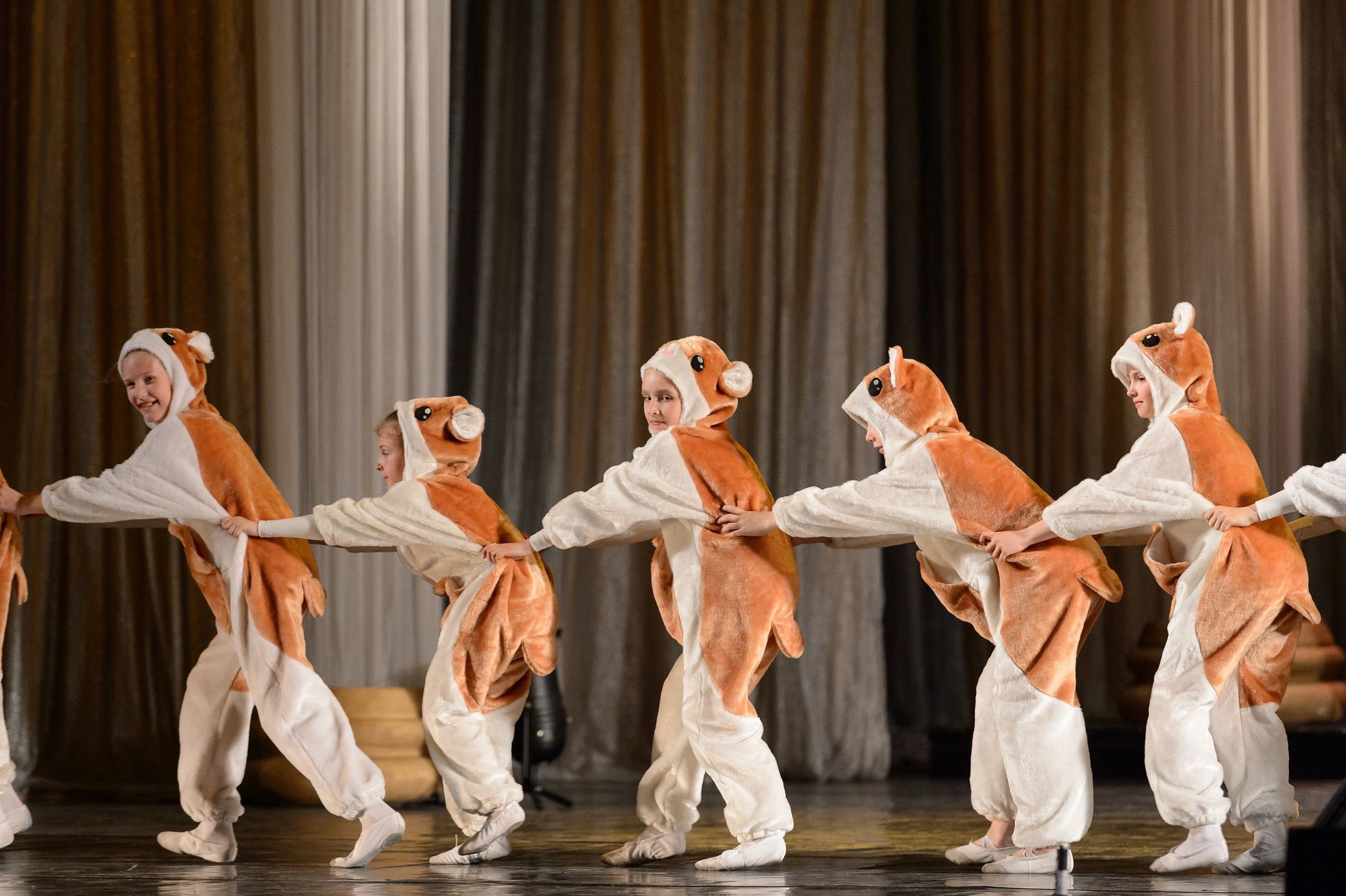 23 мая, концерт 5 лет, БКЗ. Золотое яблочко