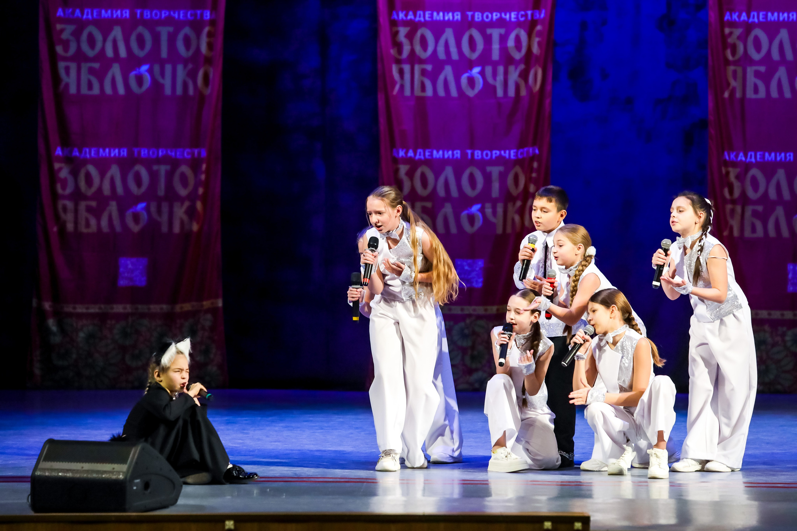 30 ноября, г. Ярославль. Золотое яблочко