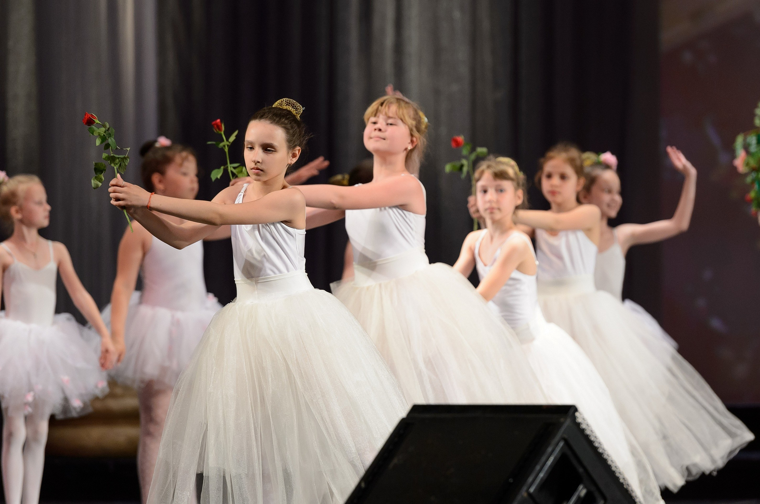 23 мая, концерт 5 лет, БКЗ. Золотое яблочко