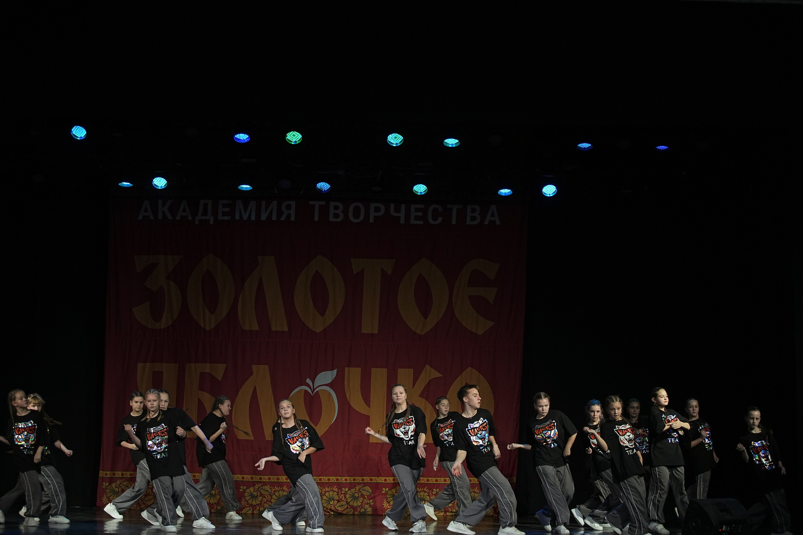 8 декабря, г. Кострома. Золотое яблочко