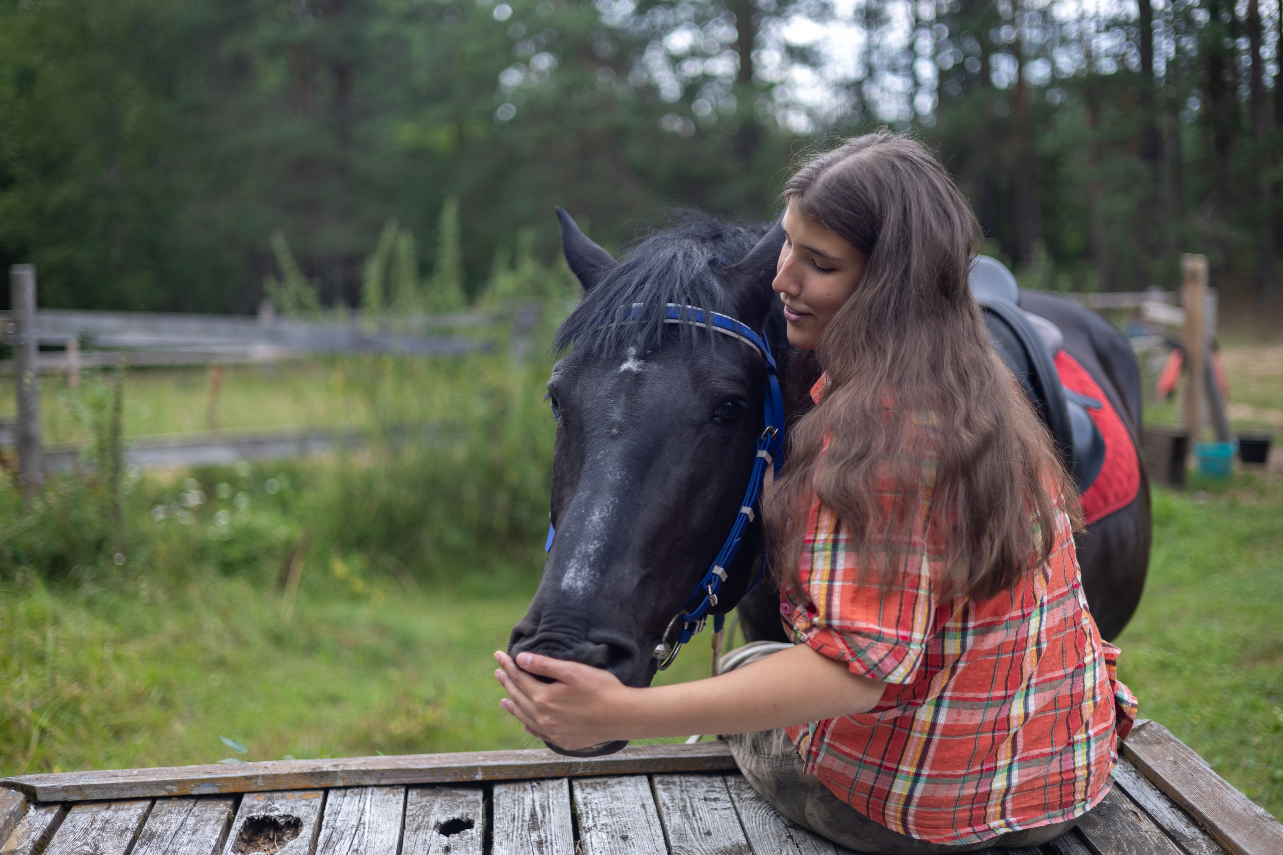 Чародей и Мария