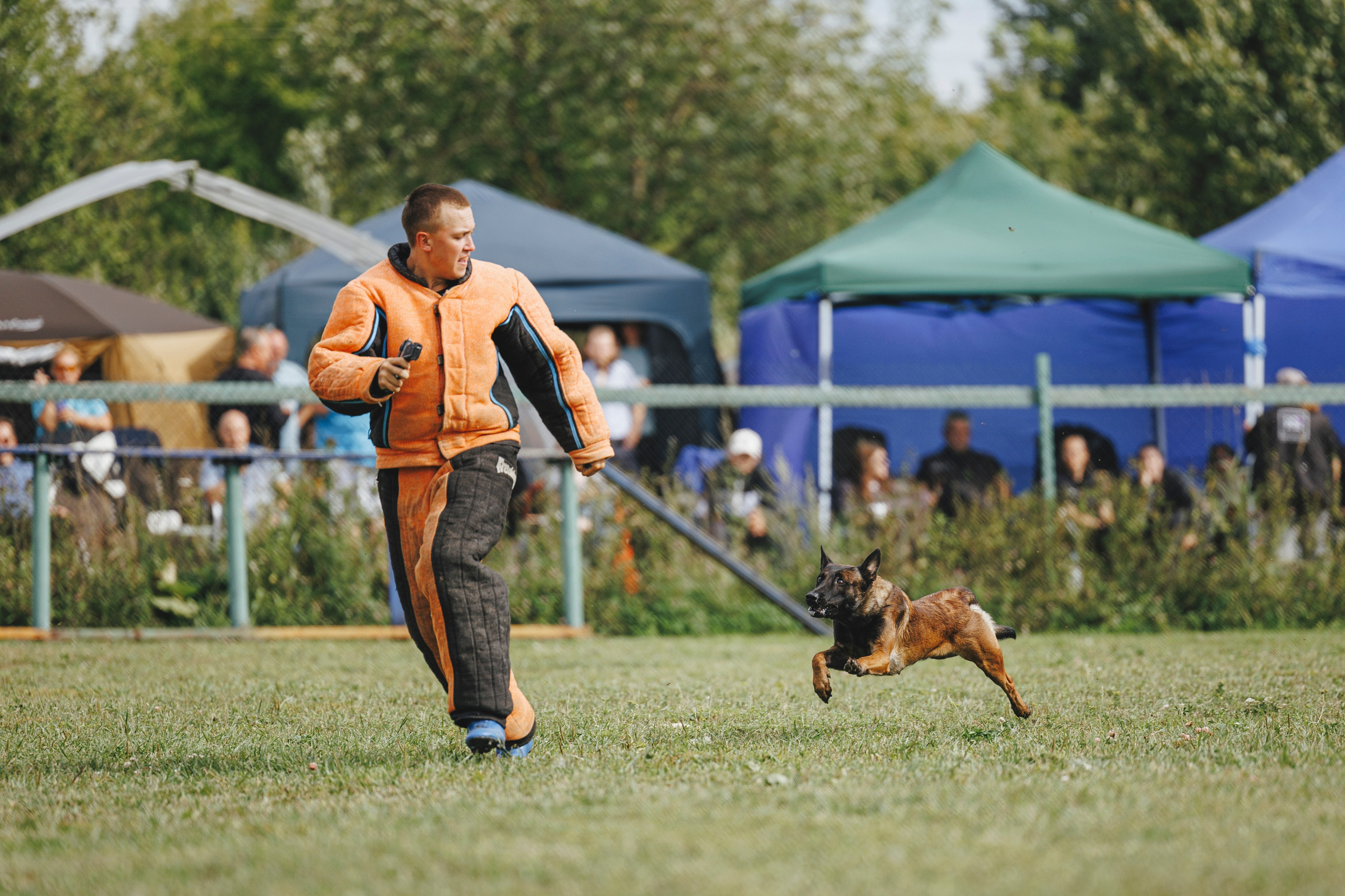 08.08.25-10.08.25 ЧР по мондьорингу г. Вологда. Фотограф-анималист Анна Маринич