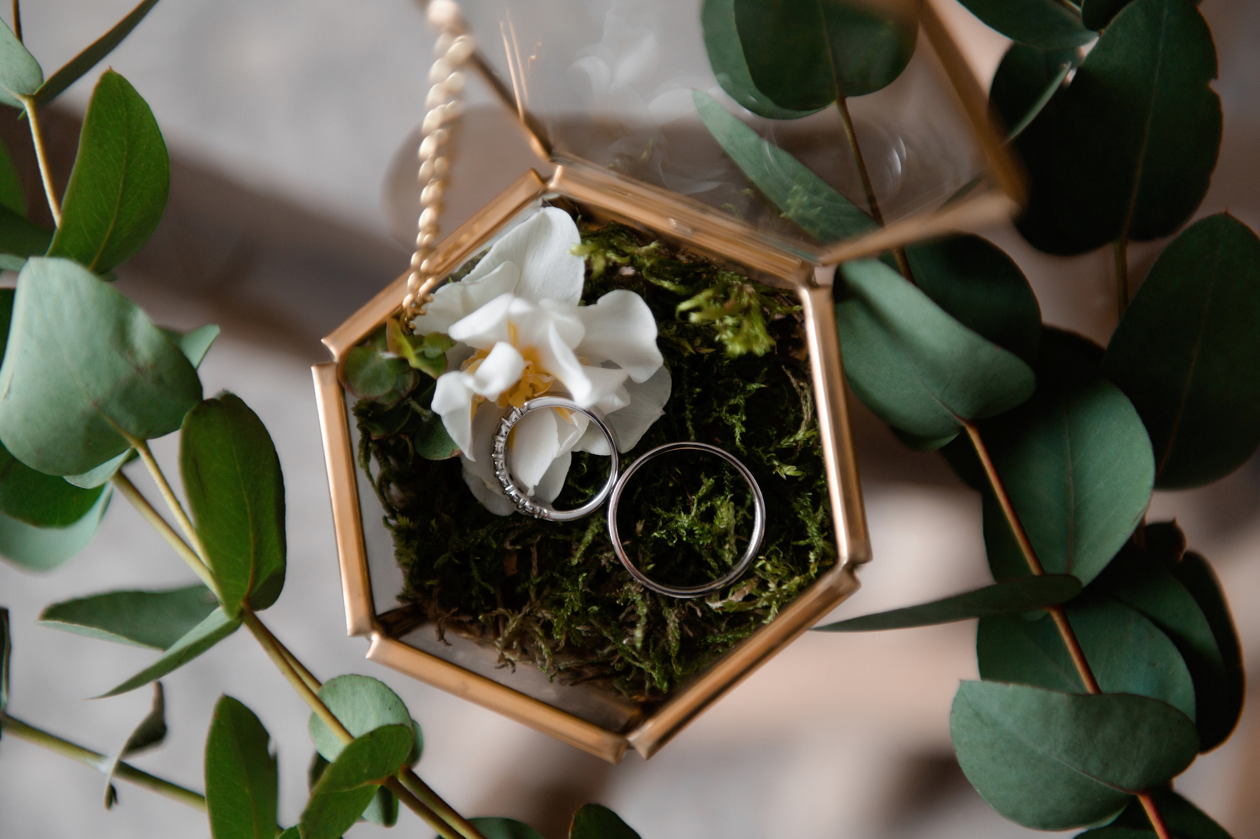 Свадебный фотограф Ростов Графский Парк. Свадебный фотограф в Ростове Максимов Максим