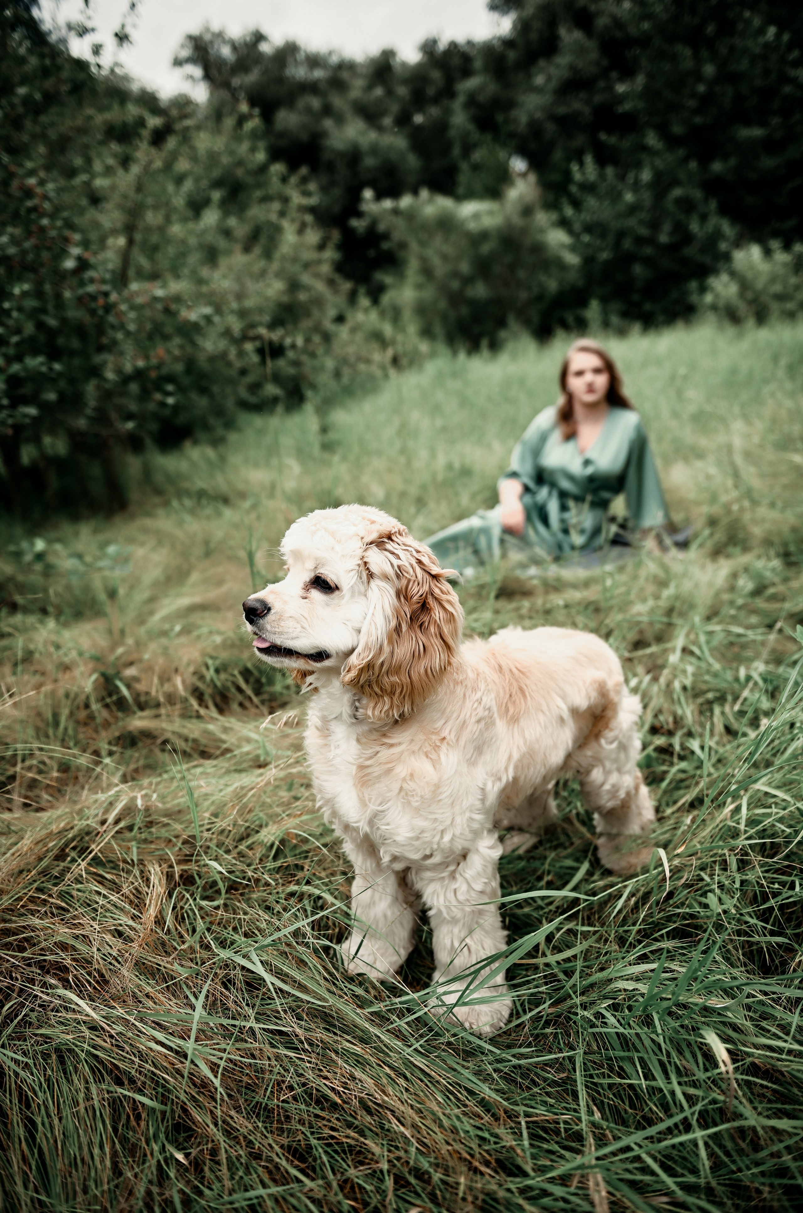Love story прогулка вместе с песиком))). Свадебный, семейный, детский, контент фотограф в Омске Максим Ильин