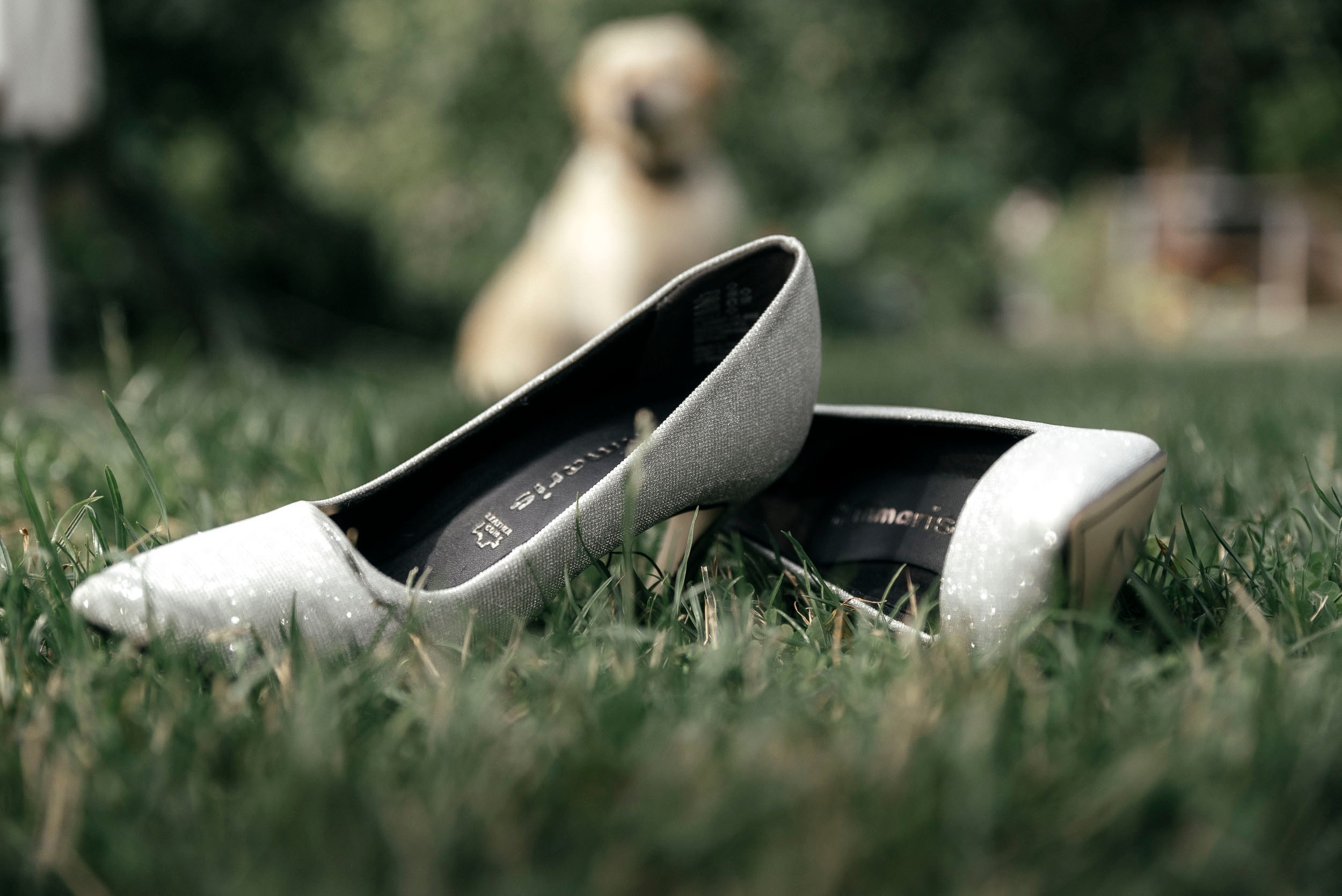 Фотограф Андрей Рижский. Санкт Петербург. Свадебная серия фотографий Анастасии и Вячеслава.