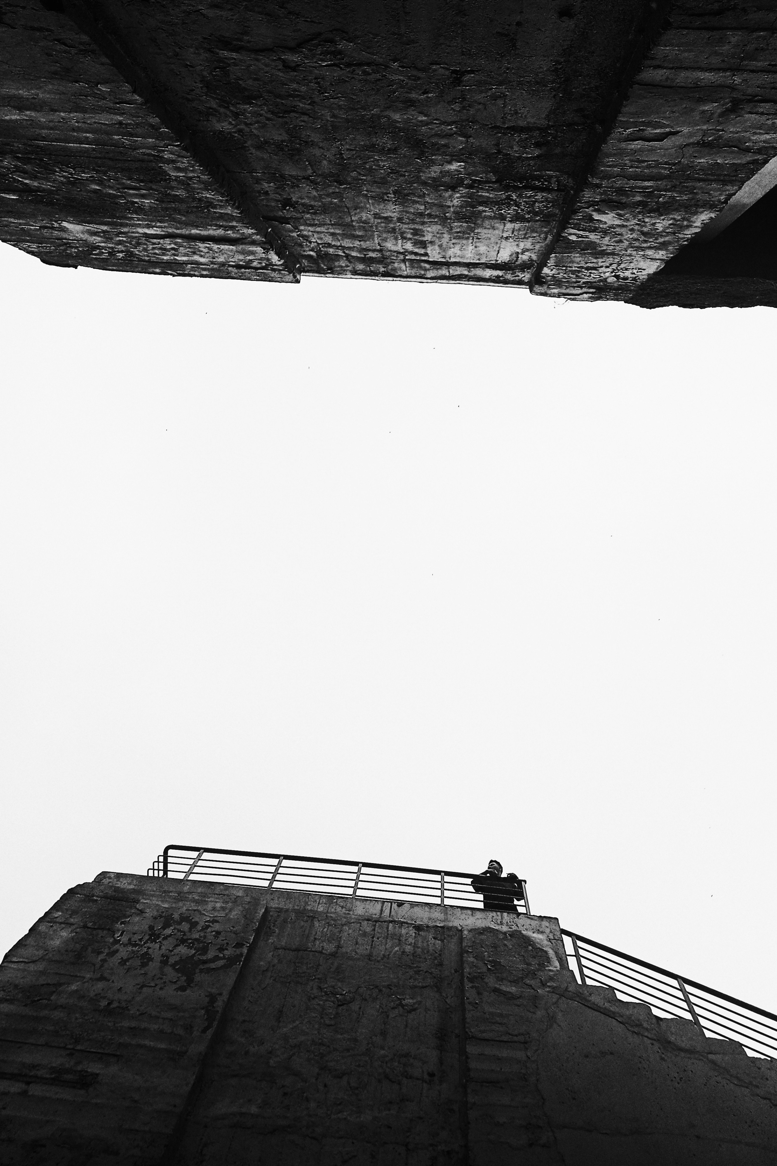 Руслан в малине. Фотограф в Нижнем Новгороде