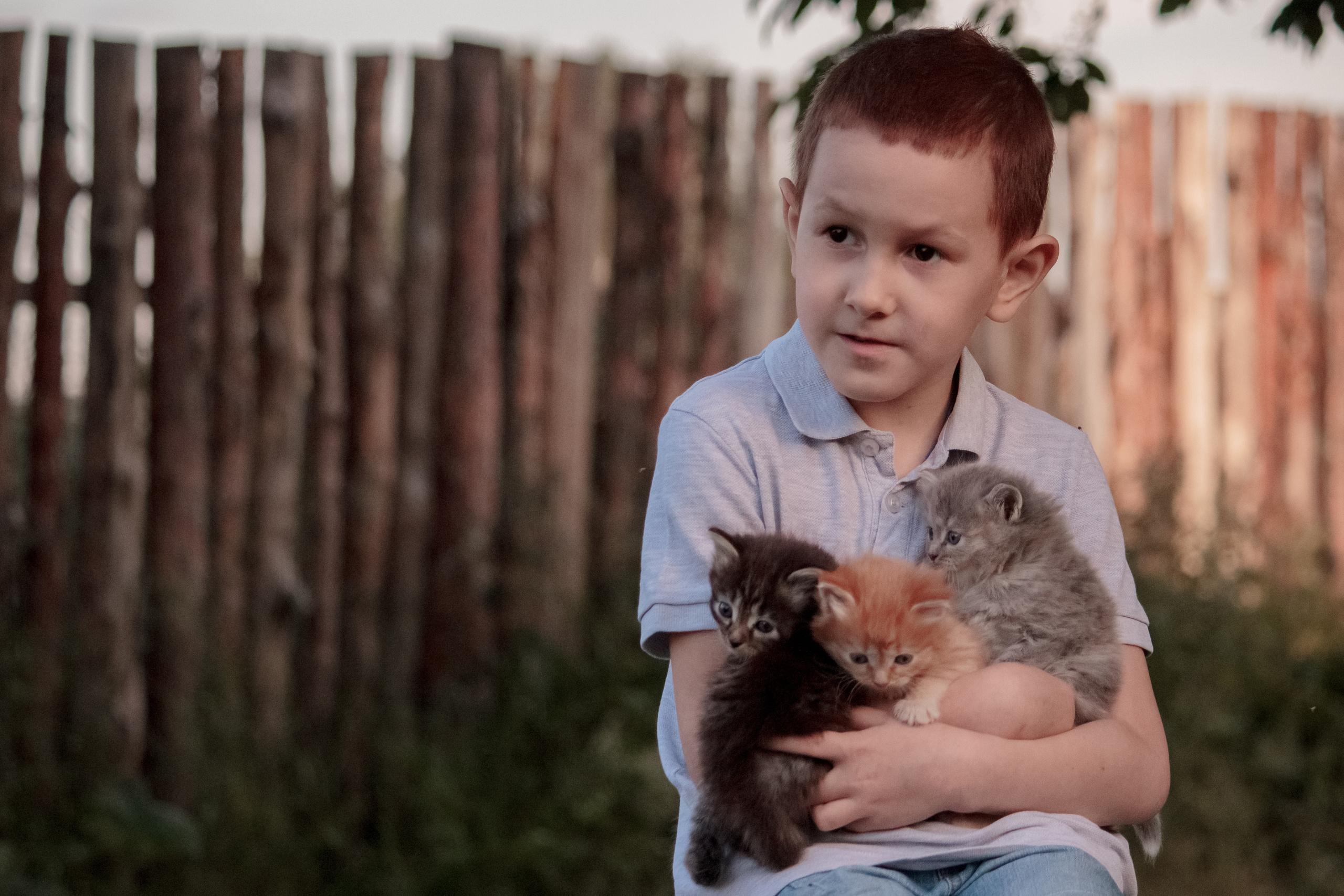 Дети. Фотограф Юлия Мешаева