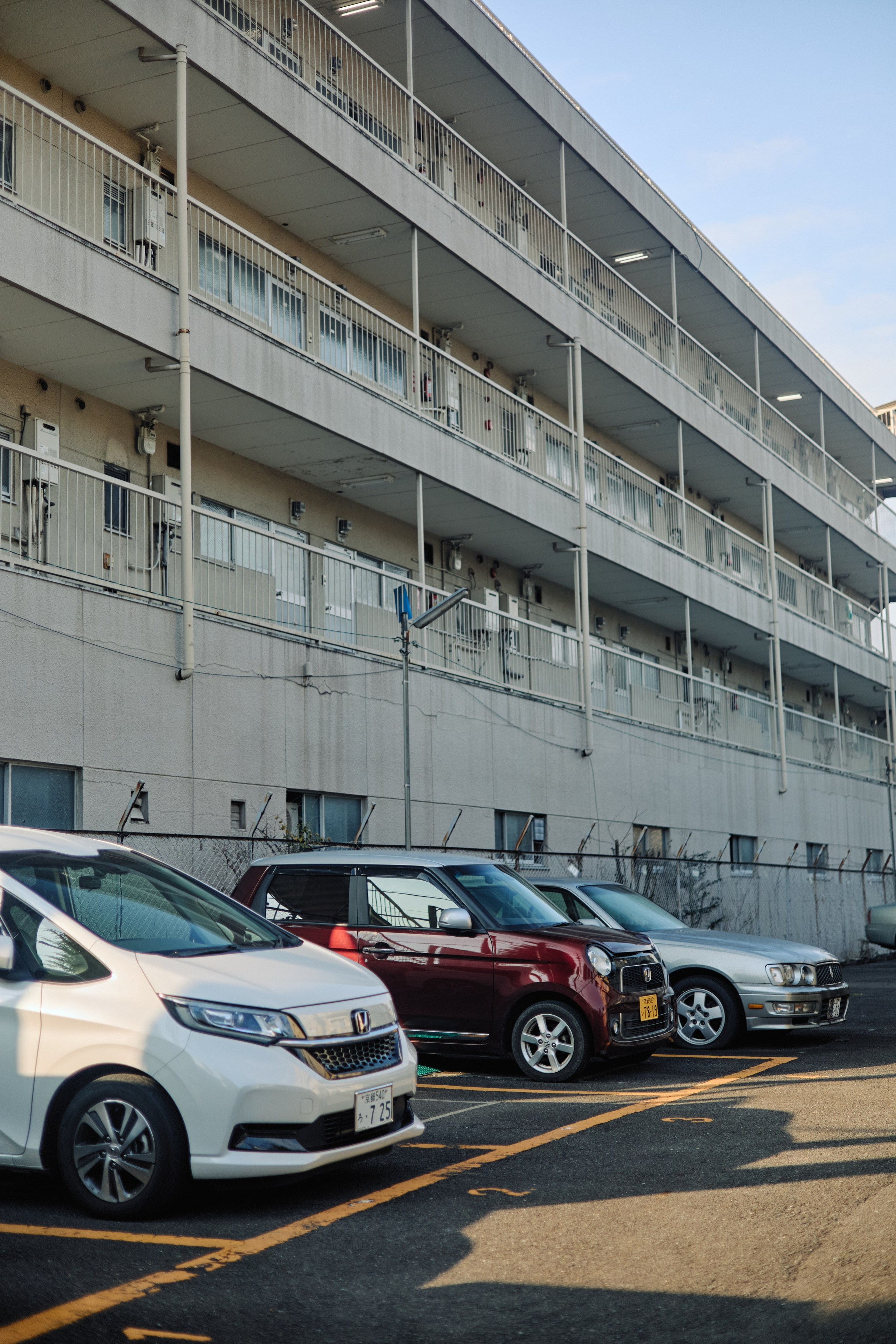 Япония. Профессиональный Фотограф во Владимире, в Москве и в Суздале — Полина Романычева