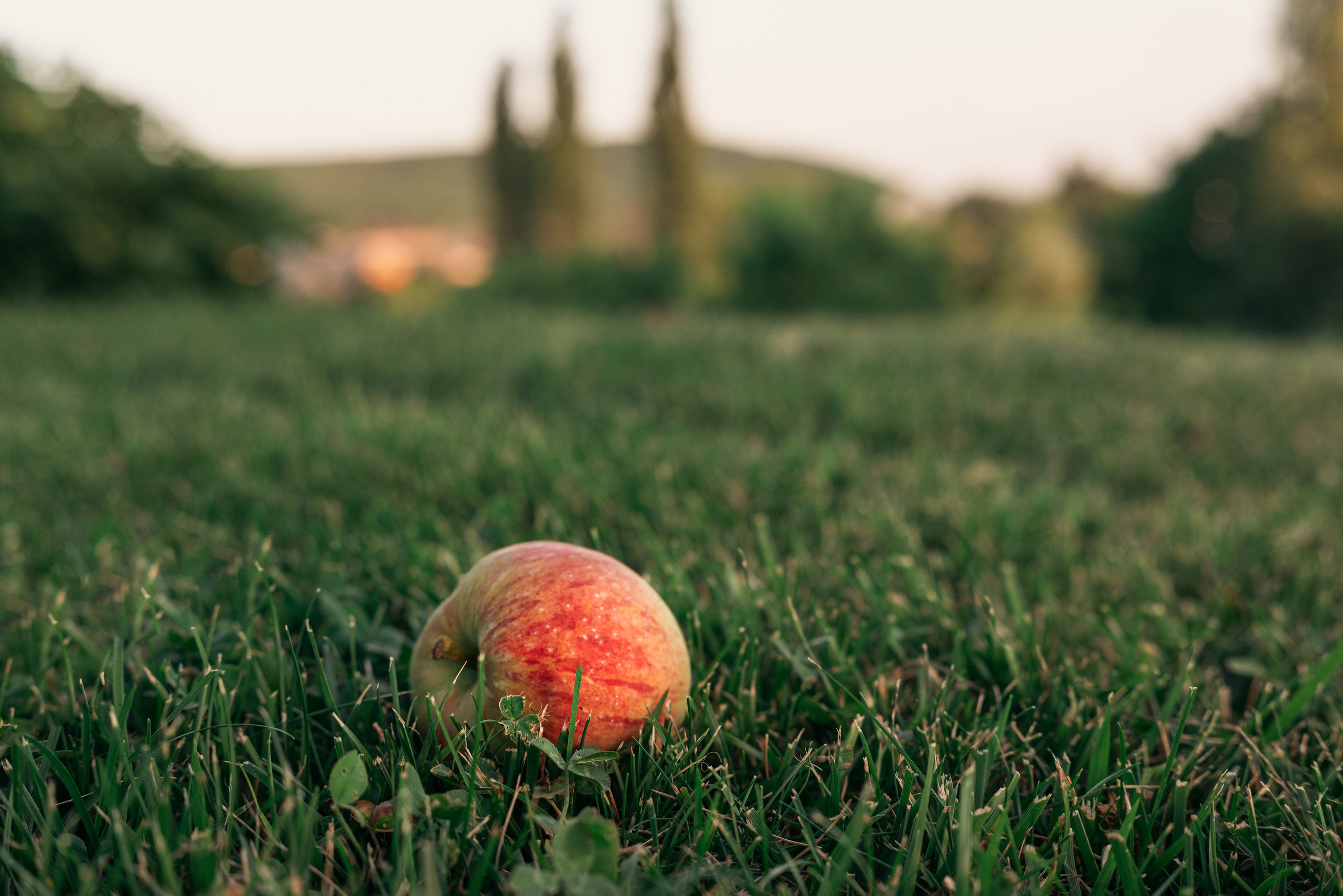 #8. Фото с характером