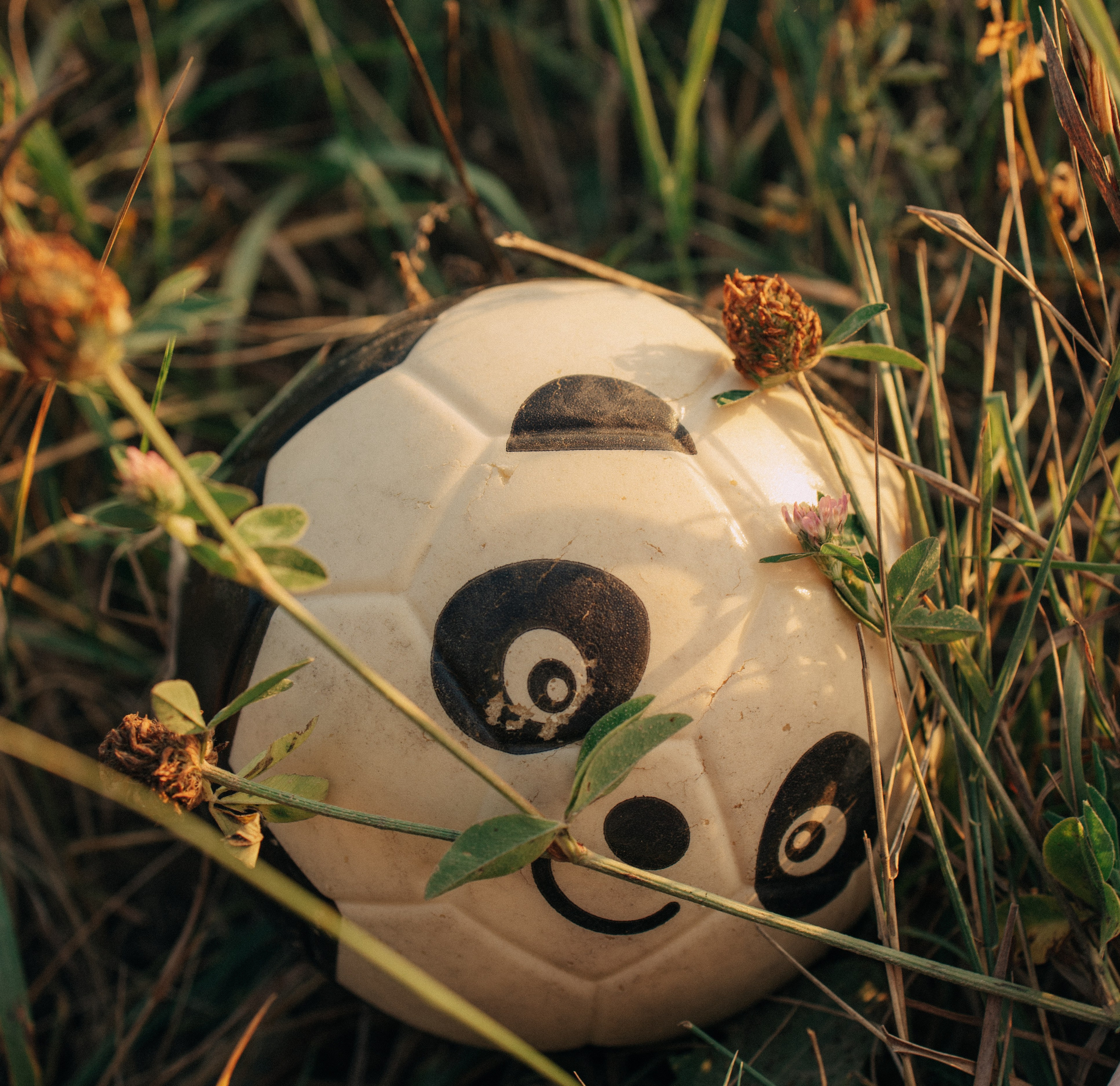 Семейная. Женский фотограф Истра