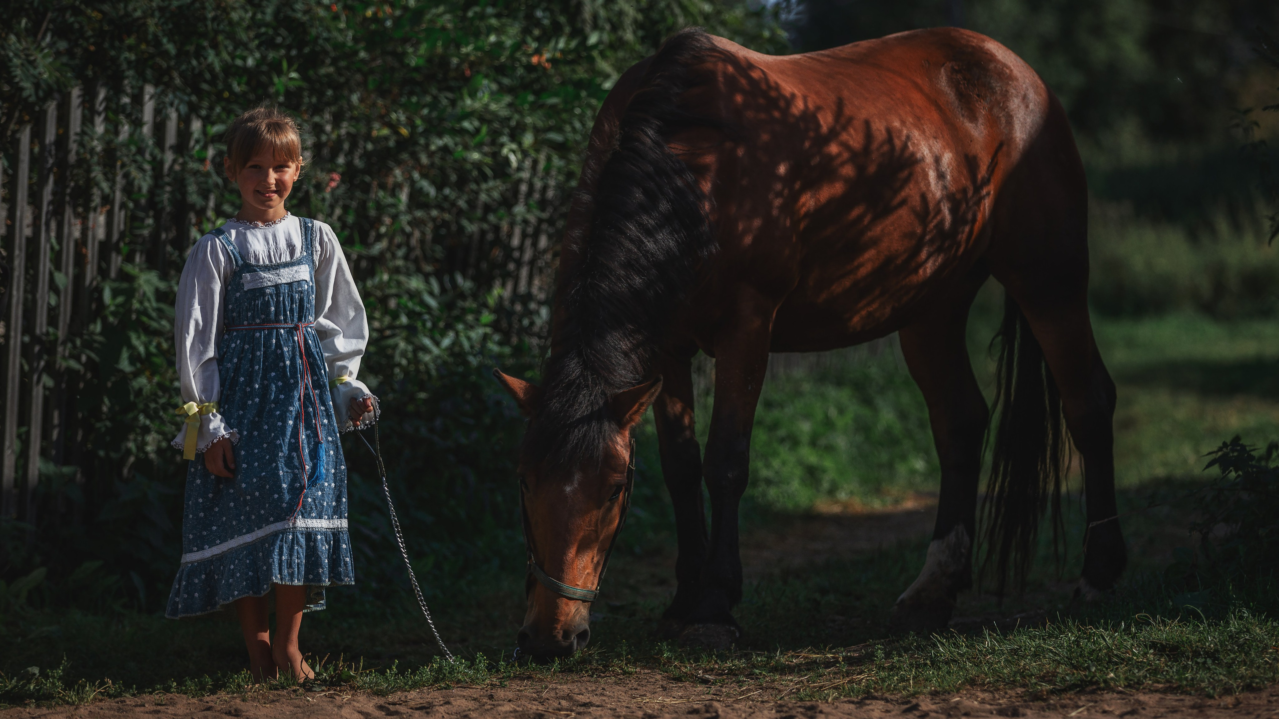 Мечта. Фотограф — путешественник Светлана Романовская