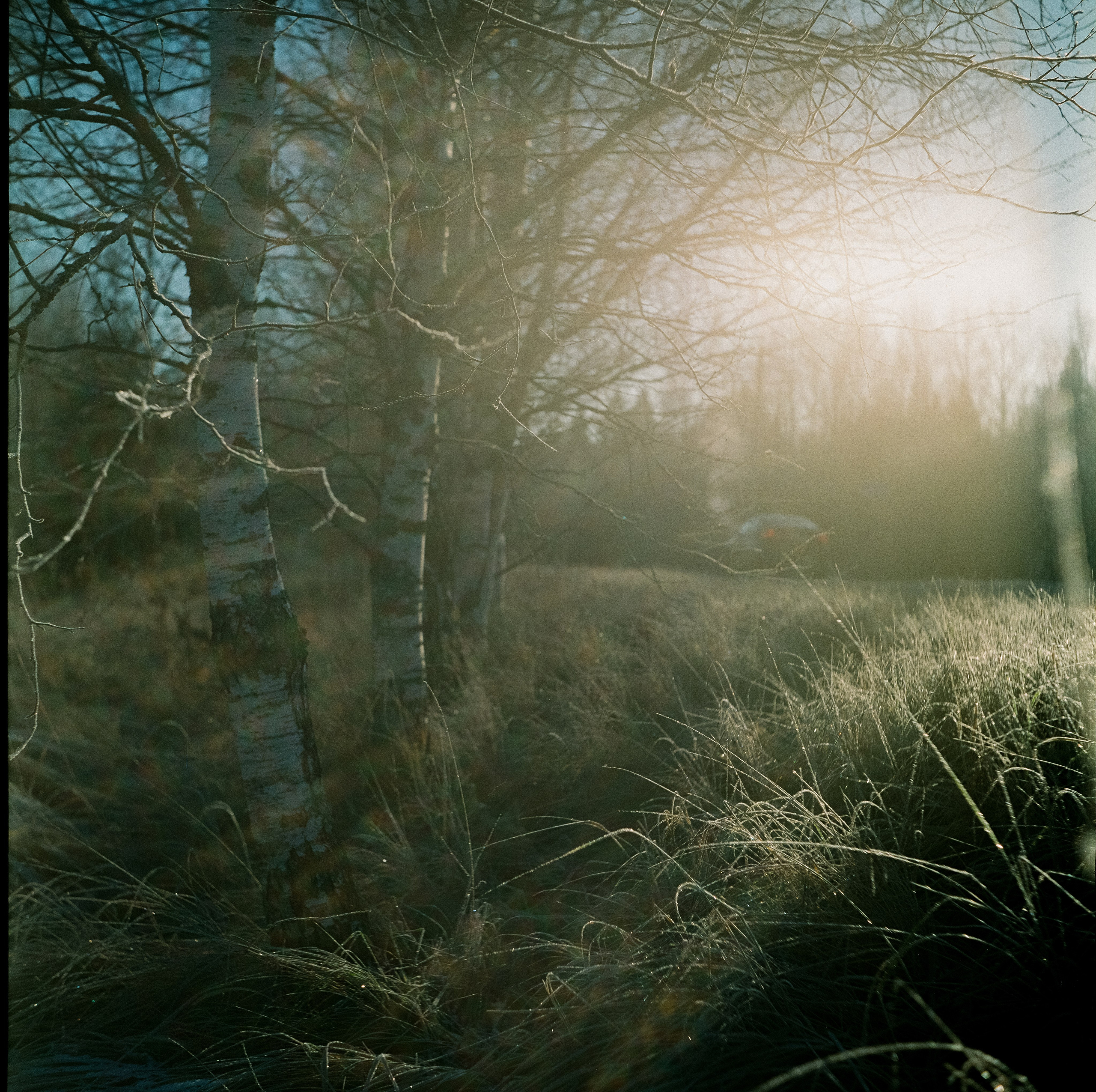 Rollop Enna Munchen Ennagon / Fujicolor PRO 400H