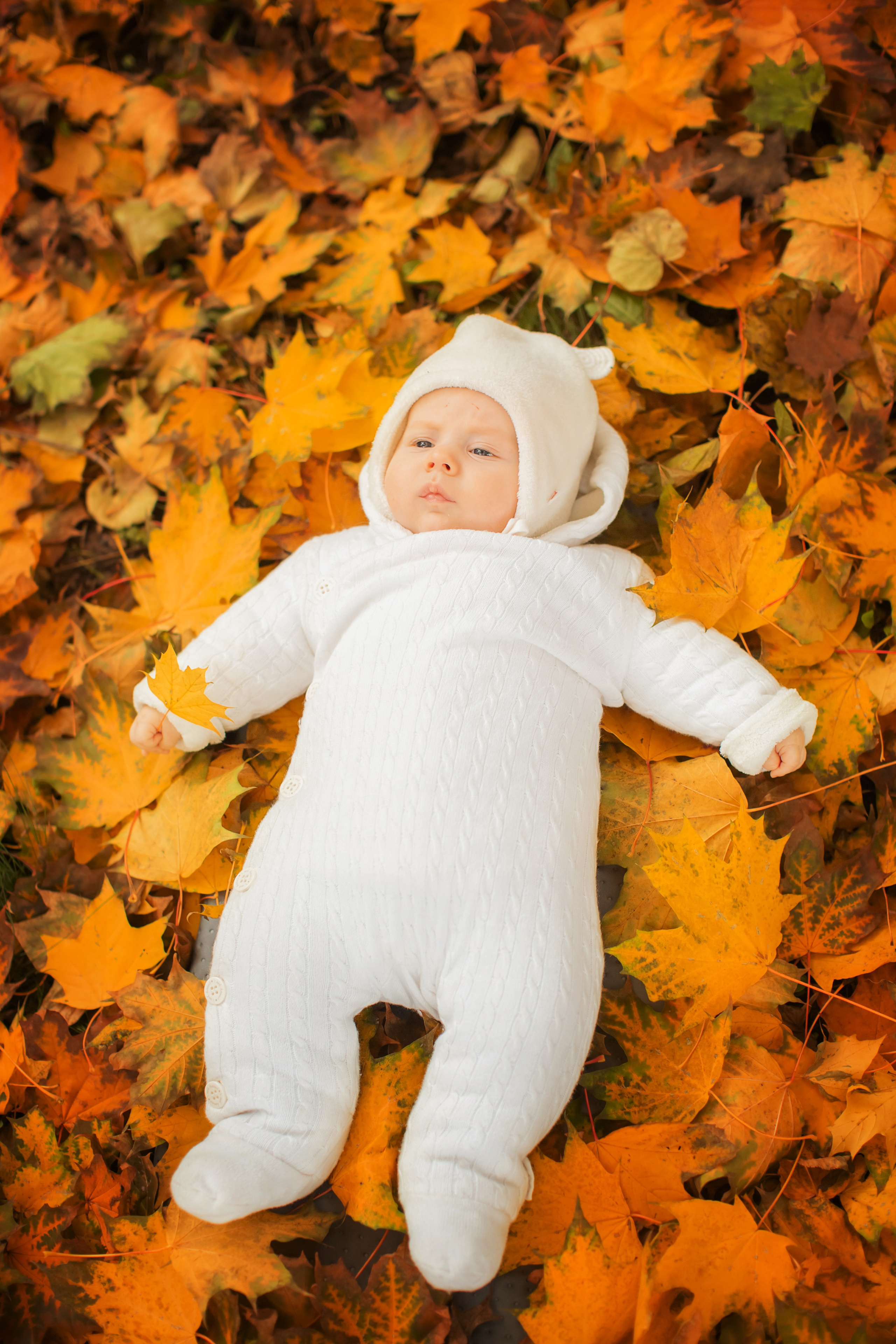 Осенняя семейная фотосессия. צלם ואמן ילדים ומשפחה