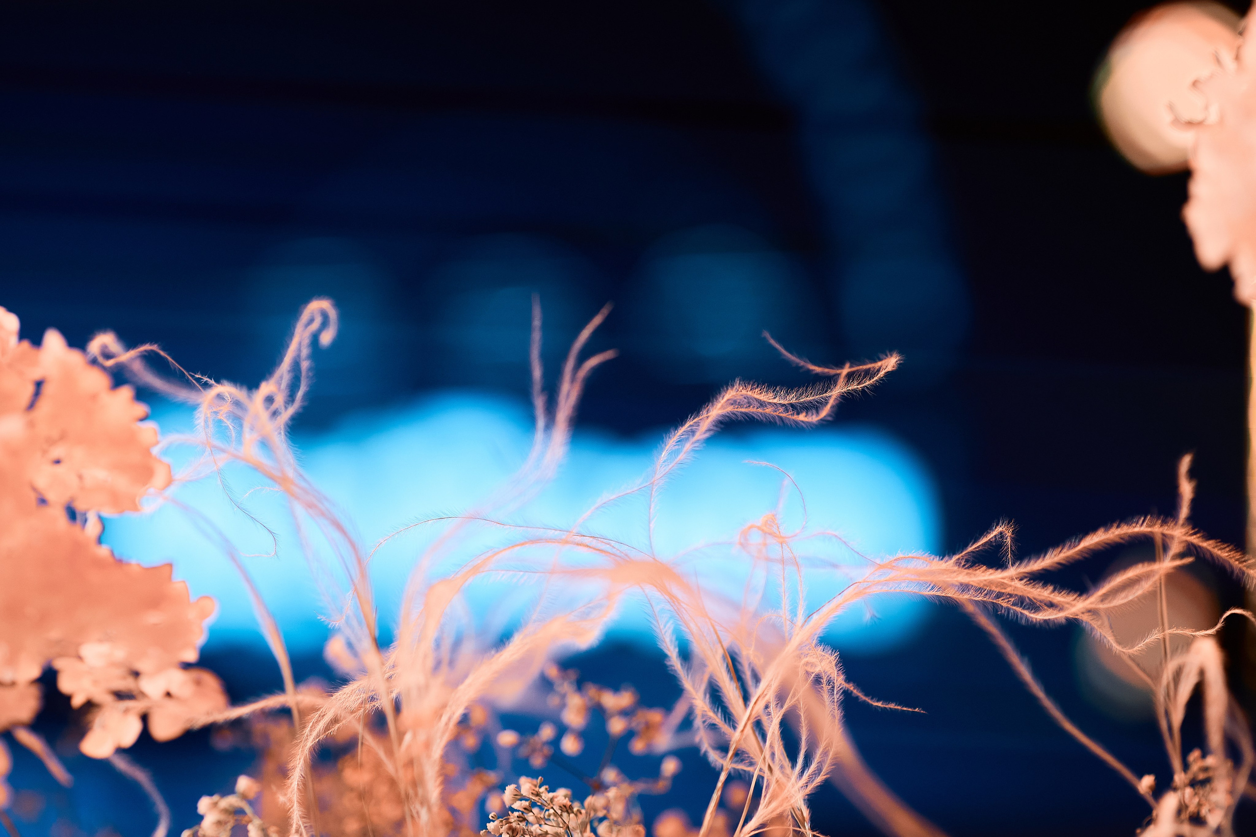 Betboom ежегодное награждение. Репортажный фотограф, портретный фотограф  г. Москва