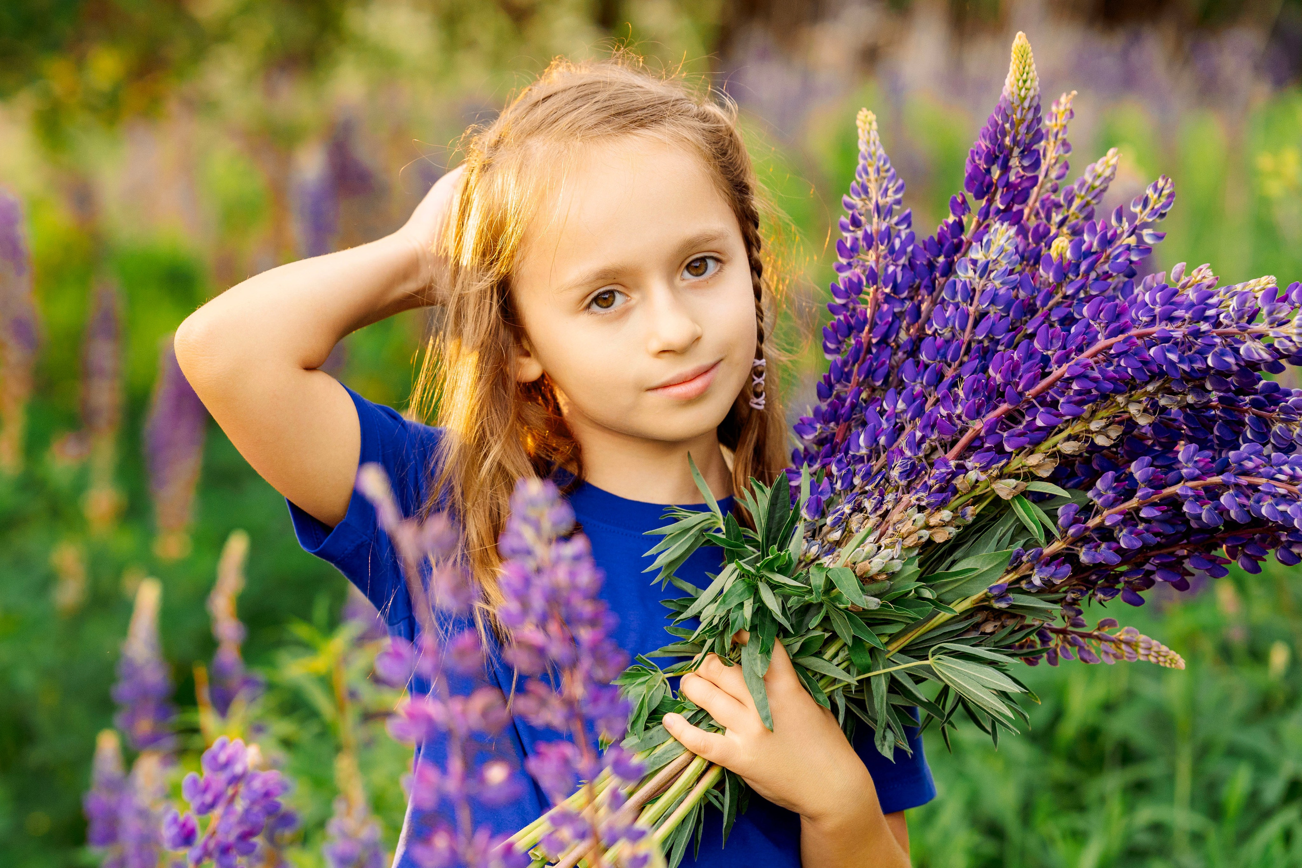 Люпины. Фотограф Юлия Попова