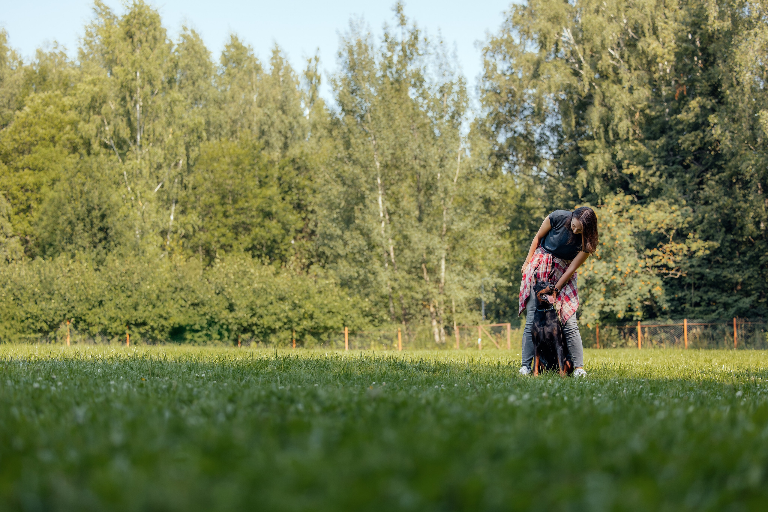 Доберман Айза. Фотограф Анималист в Москве Анастасия Жучкова