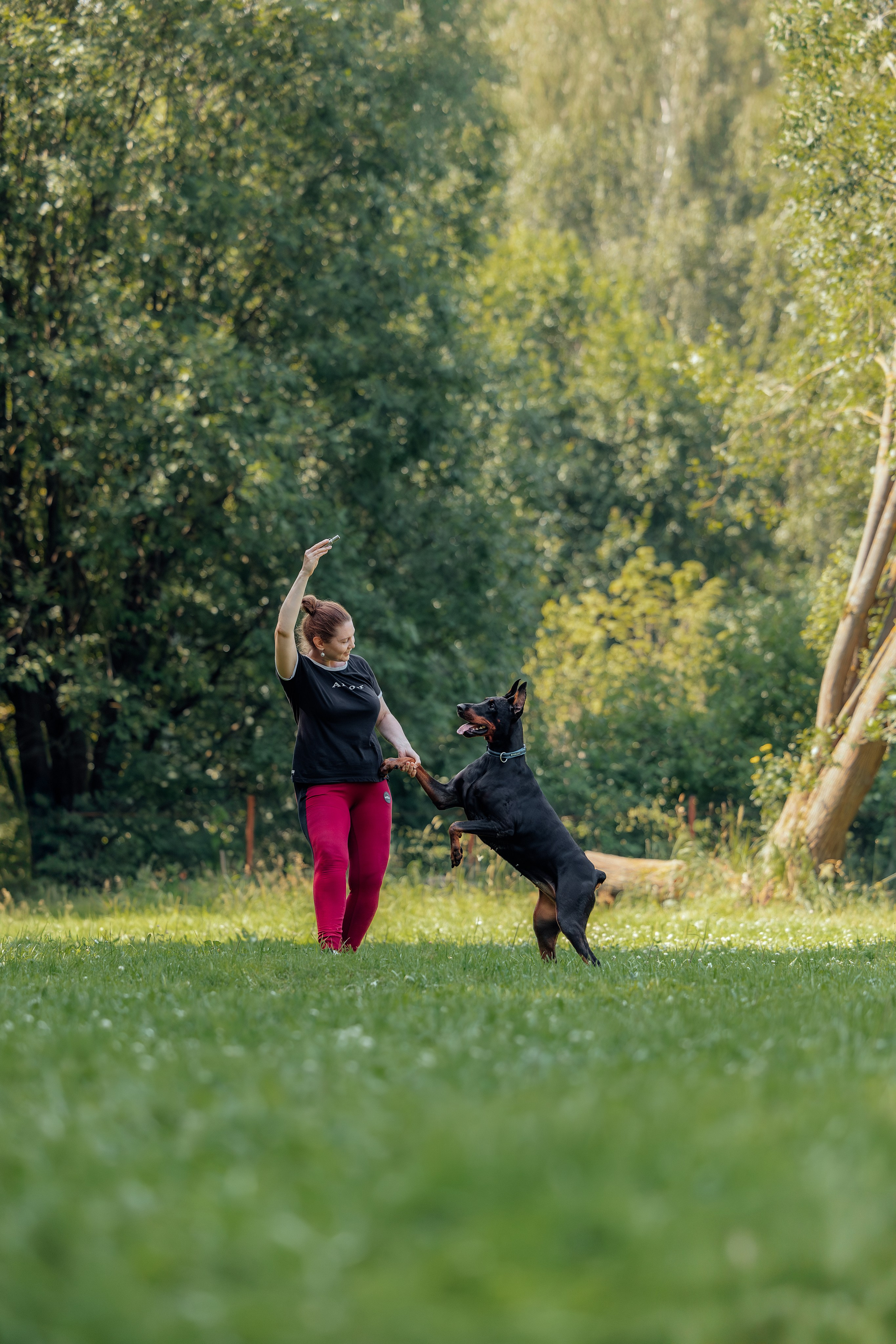 Доберман Айза. Фотограф Анималист в Москве Анастасия Жучкова