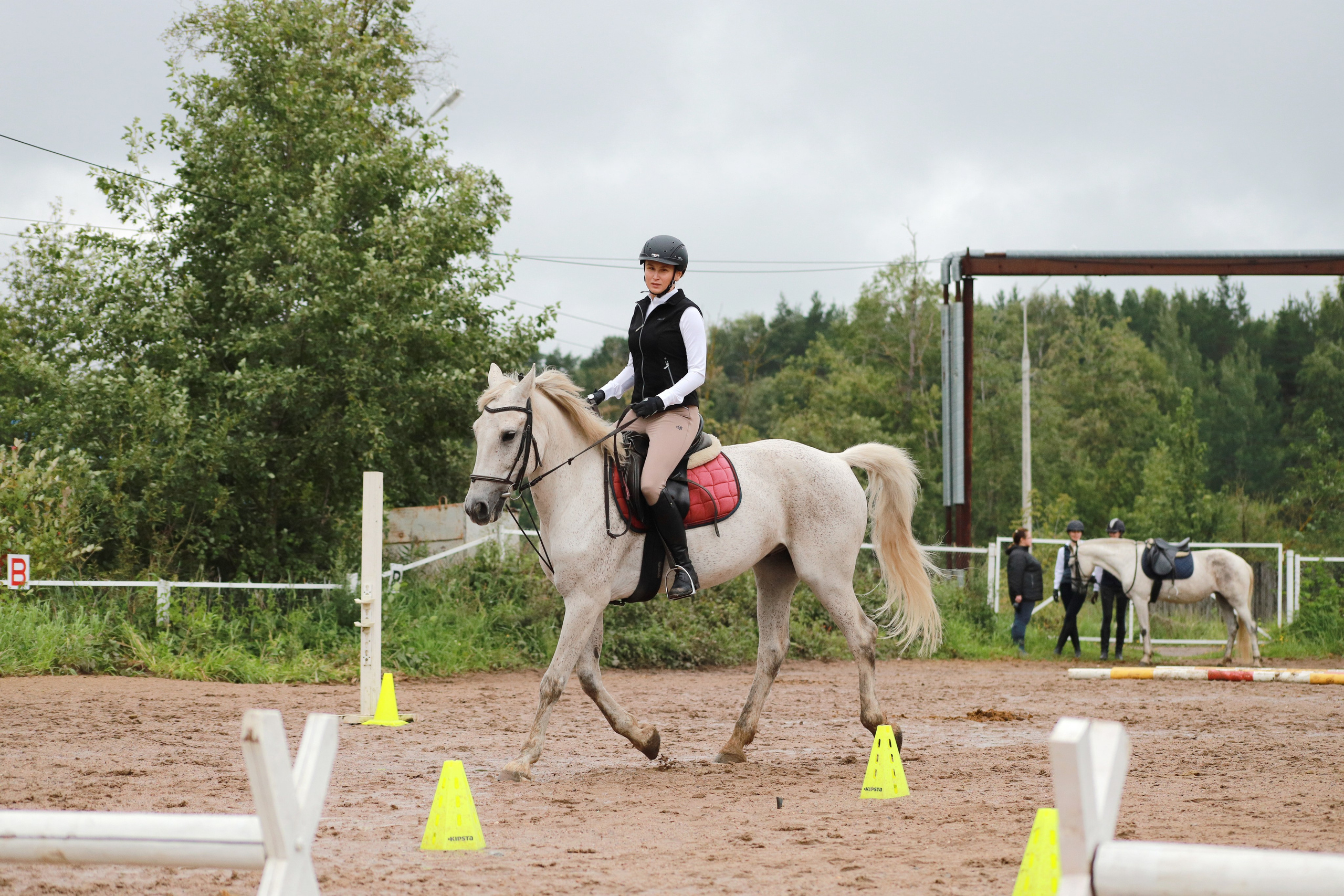 Наша жизнь. КСК Тагир