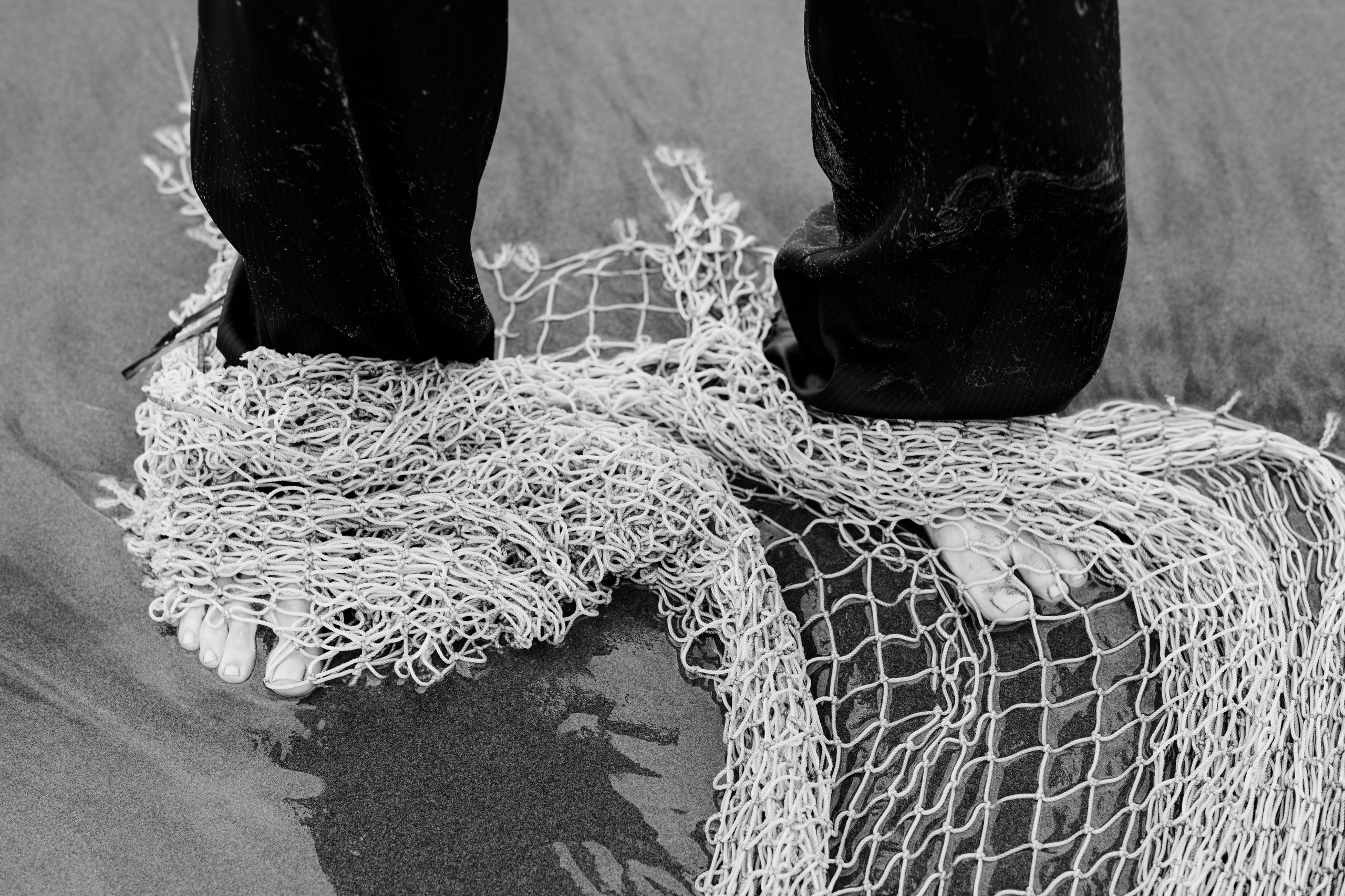 Portfolio. @beingabird.photography