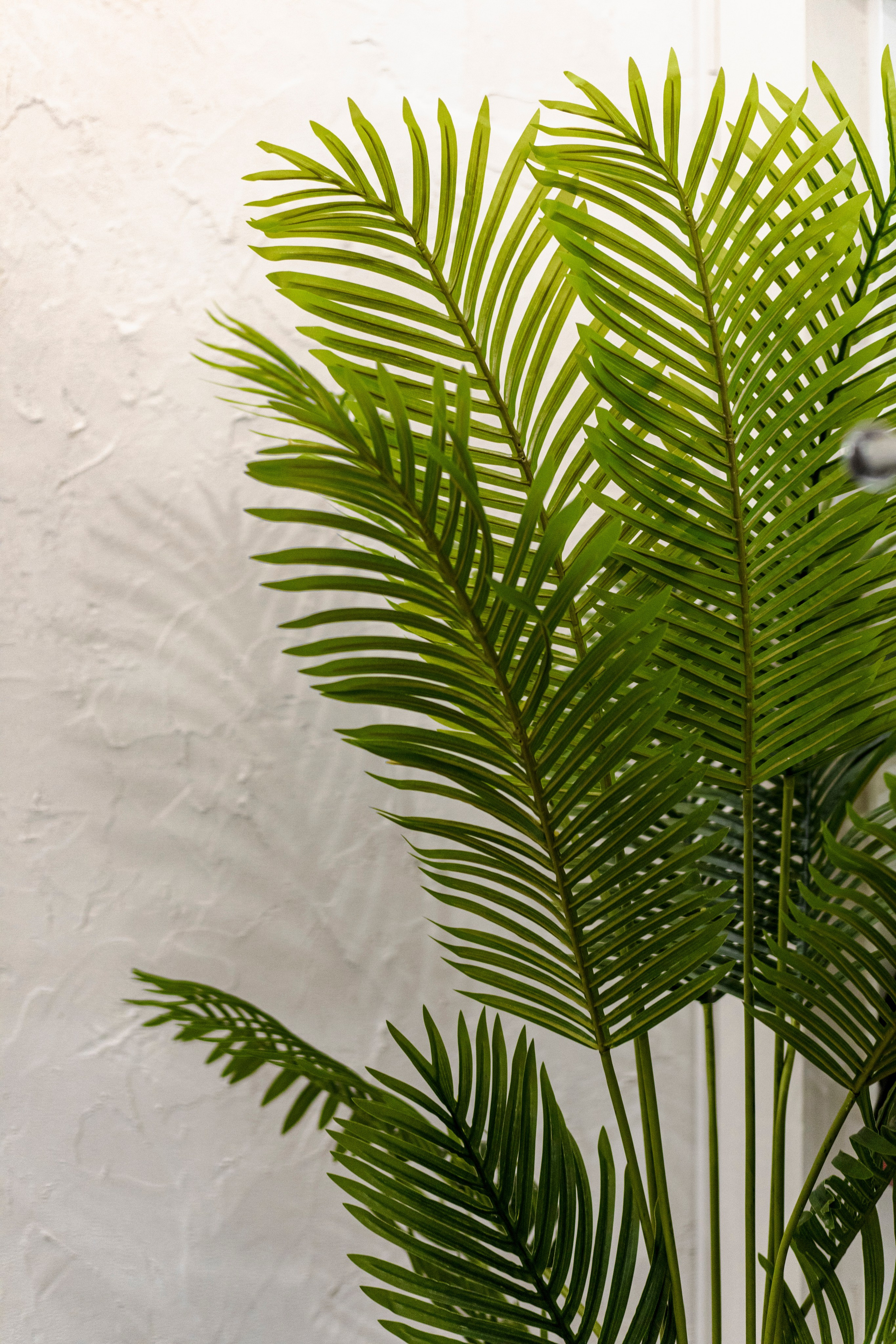 Дизайн бутика «Enjoy mania». Фотограф Настя Конник | Пятигорск | Эльбрус | Домбай | Архыз