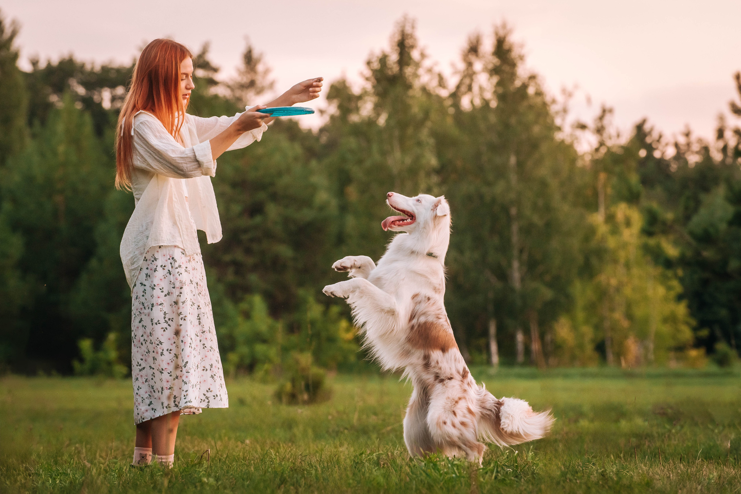 Лиза и Айви. Главная