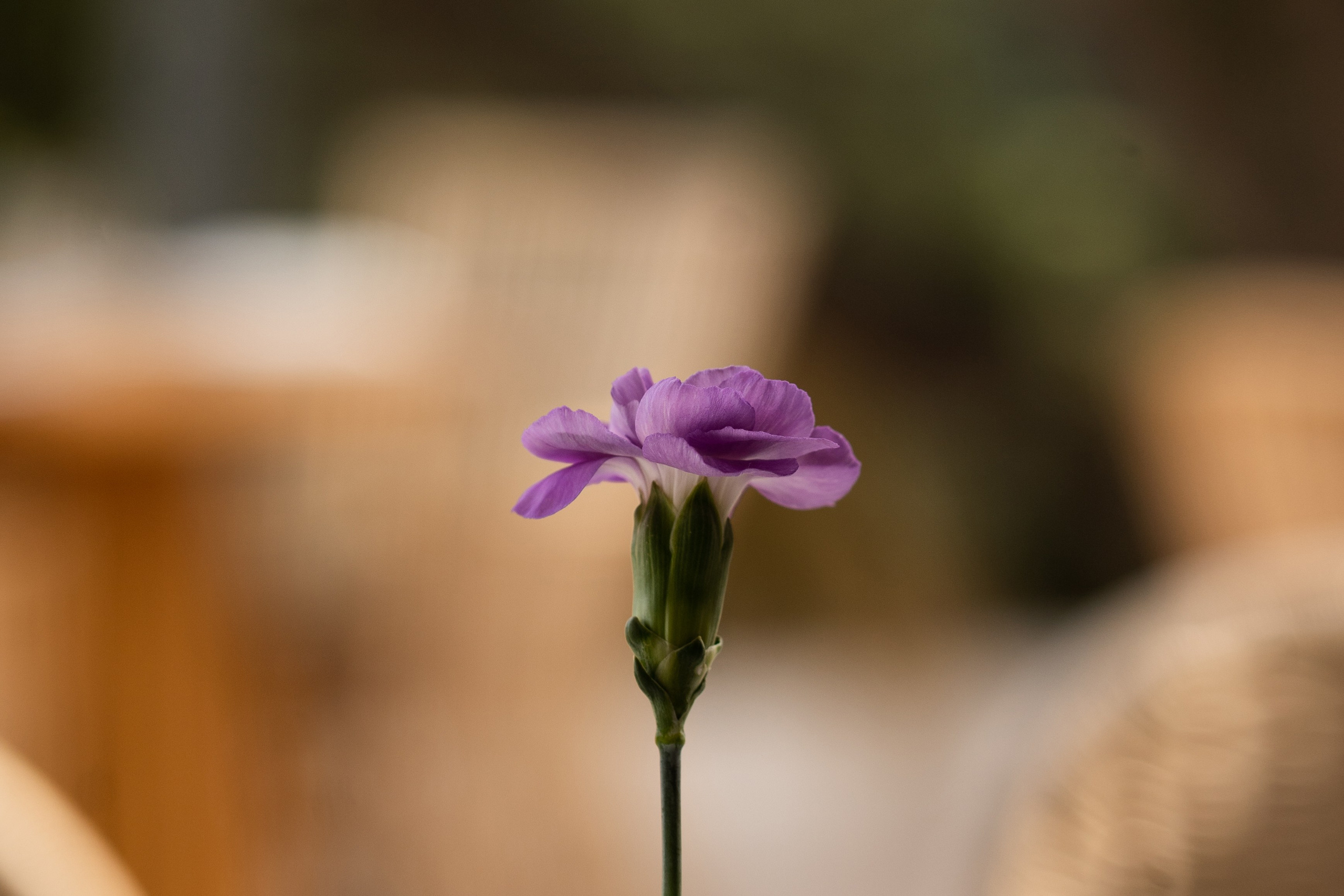 Андрей & Александра. Бодрум. Оформление свадеб, декор свадеб Вера Маркова, Москва