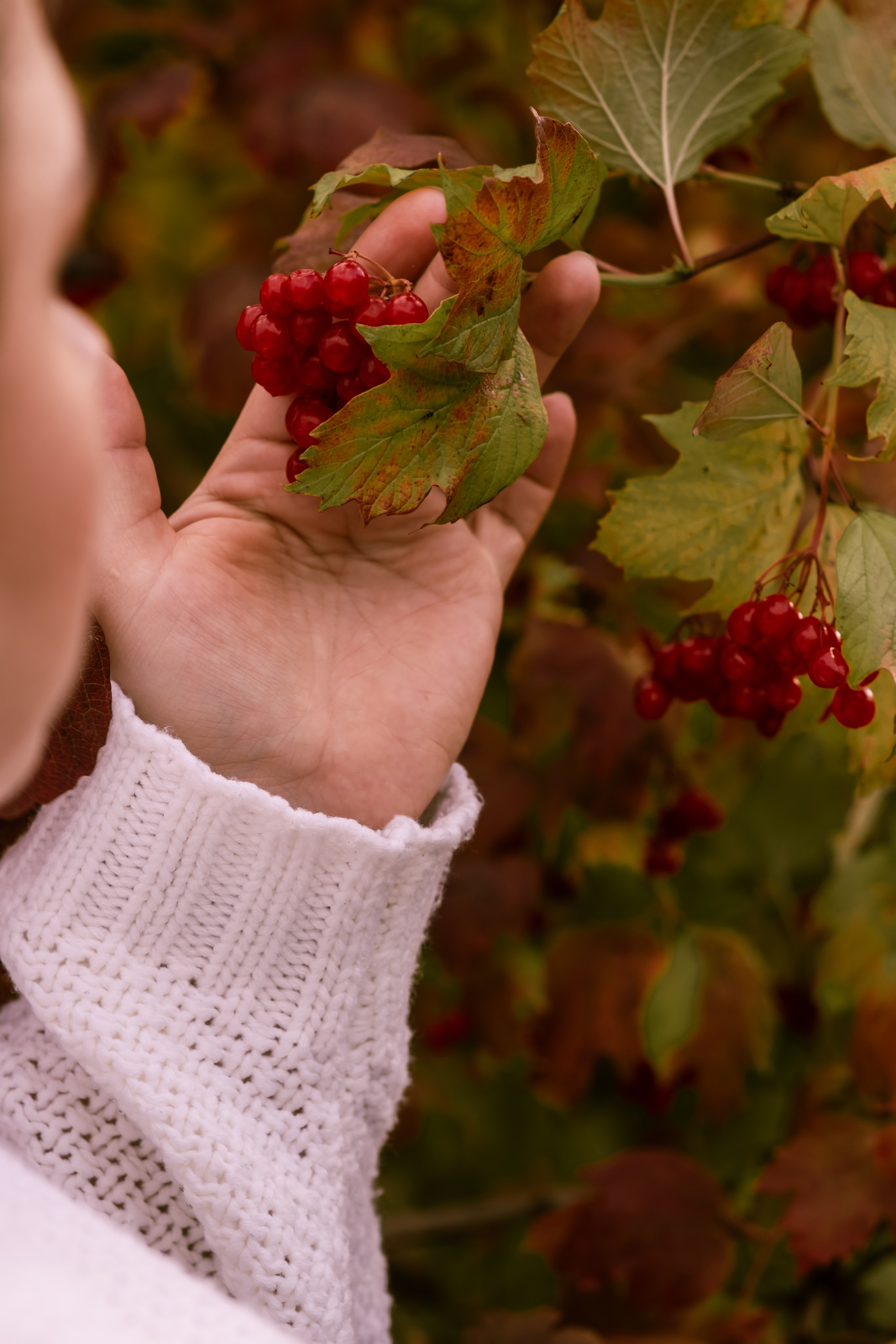 2. Свадебный фотограф Челябинск