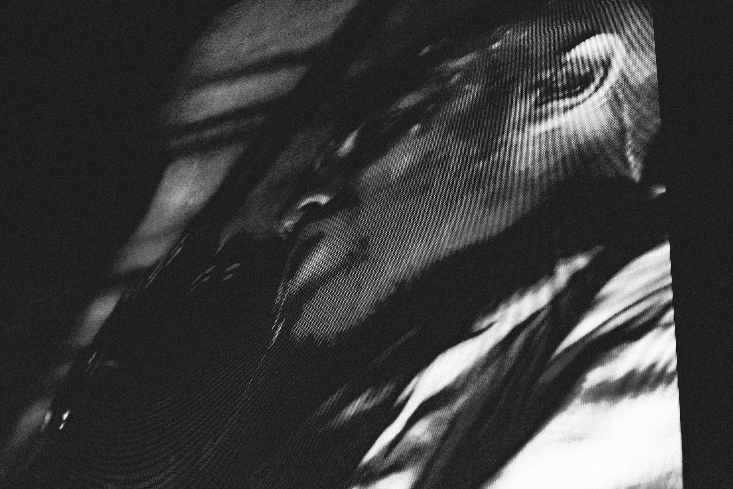 Хаски’25 «Партизан» Saint-Petersburg. RUSLAN ROZANOV