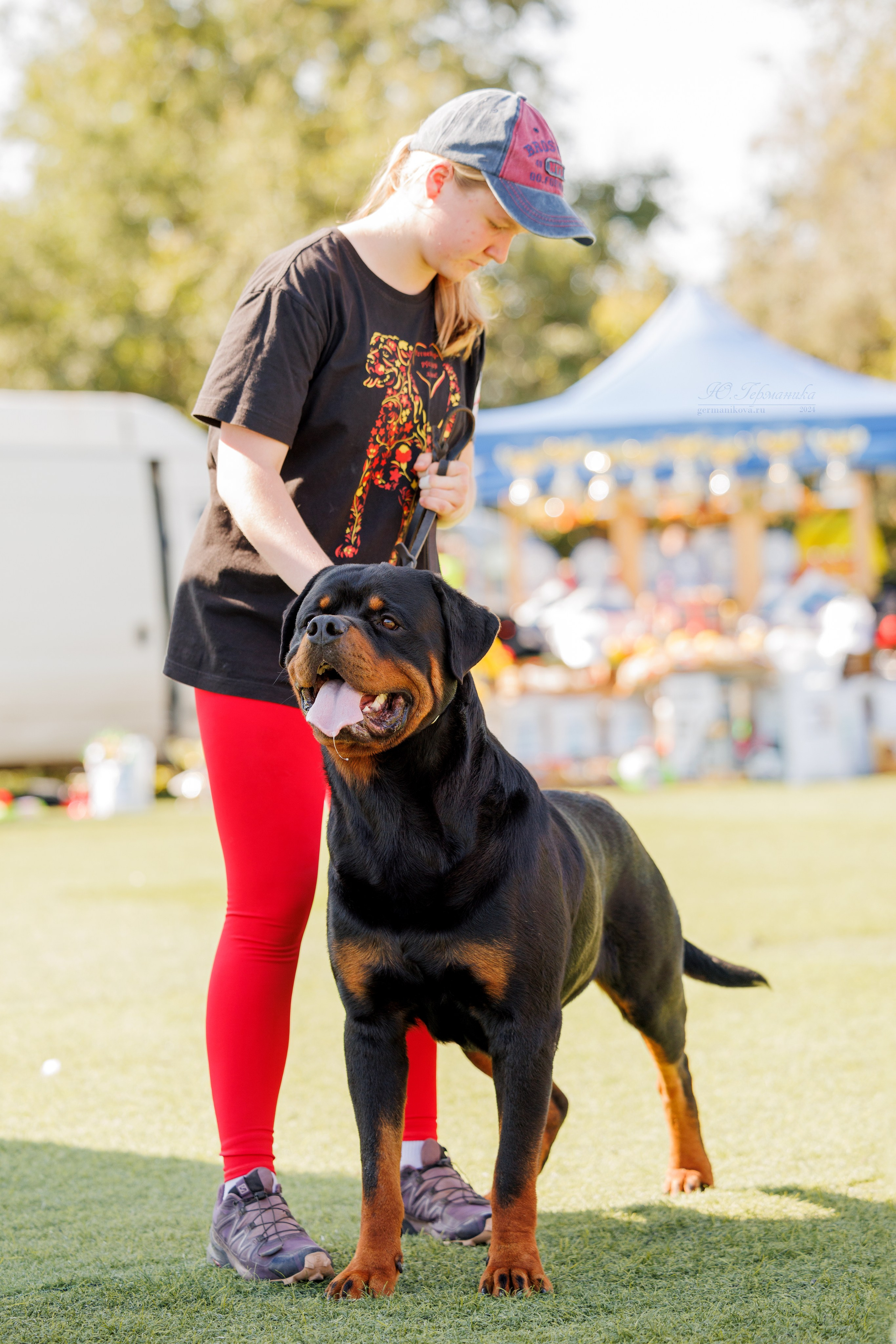 Анапа ротвейлеры 14-15.09.2024. Фотограф-анималист Юлия Германика