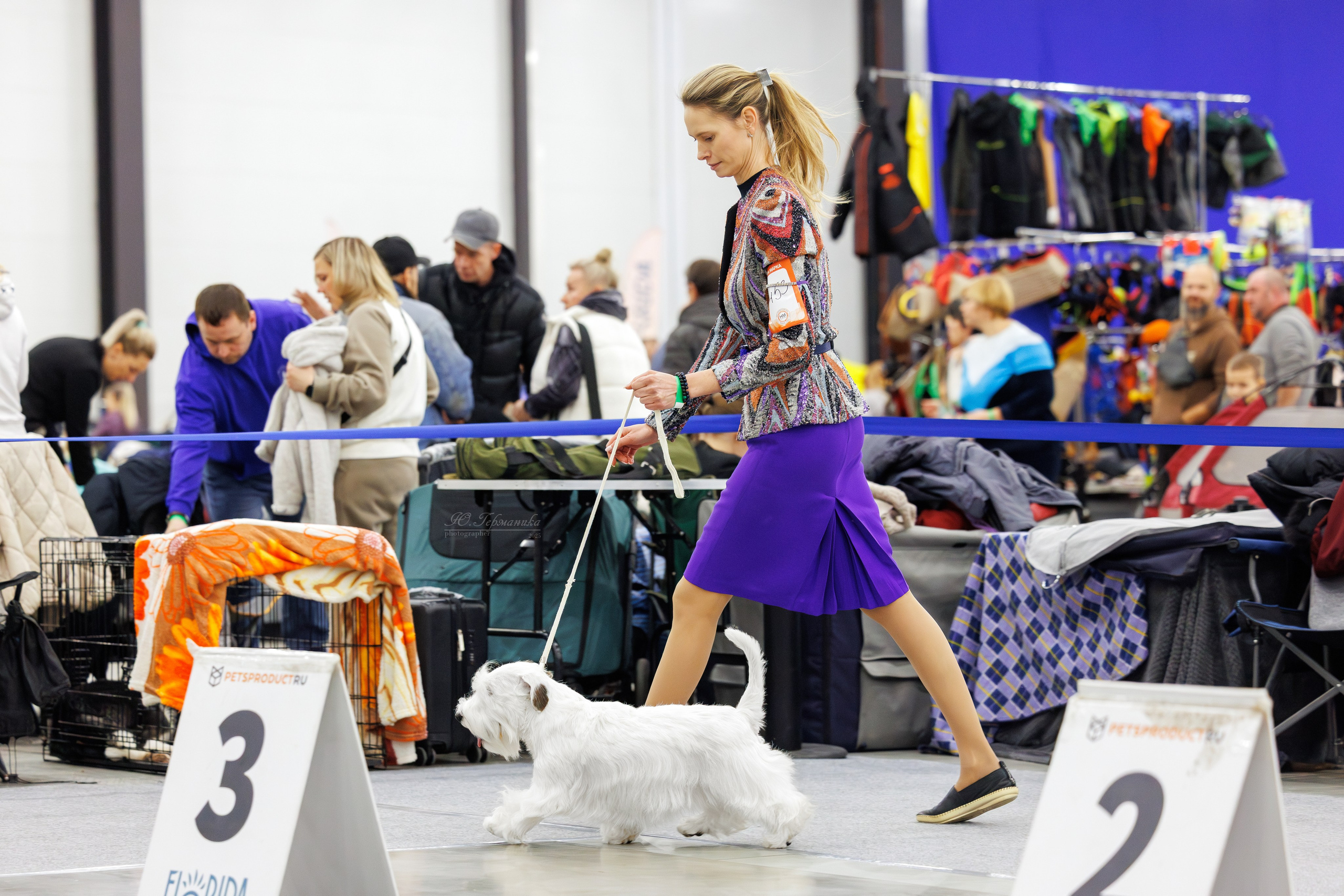 Питер 12-13.12.2025. Фотограф-анималист Юлия Германика