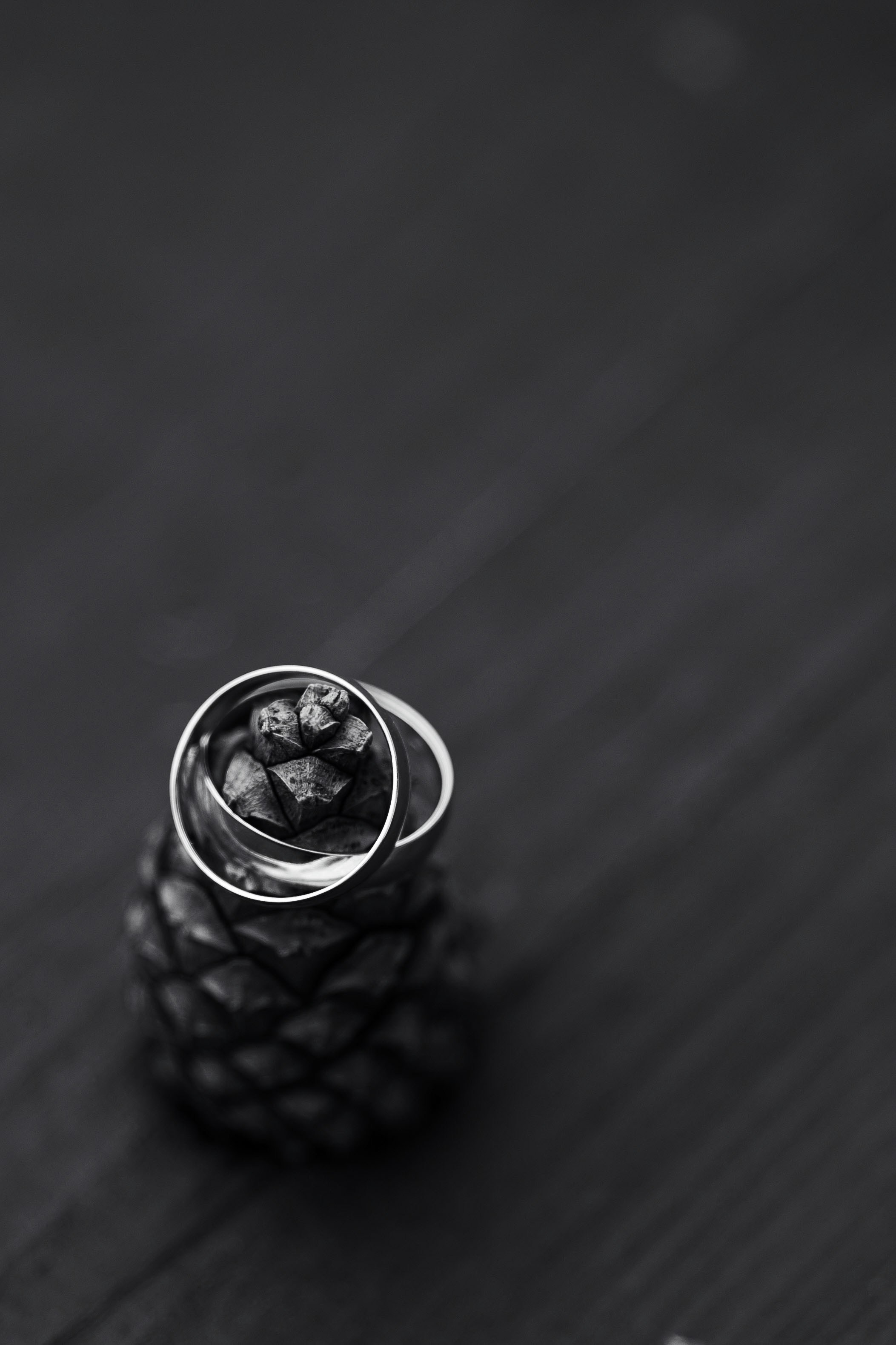 Николай и Екатерина. Фотограф Светлана Голицына