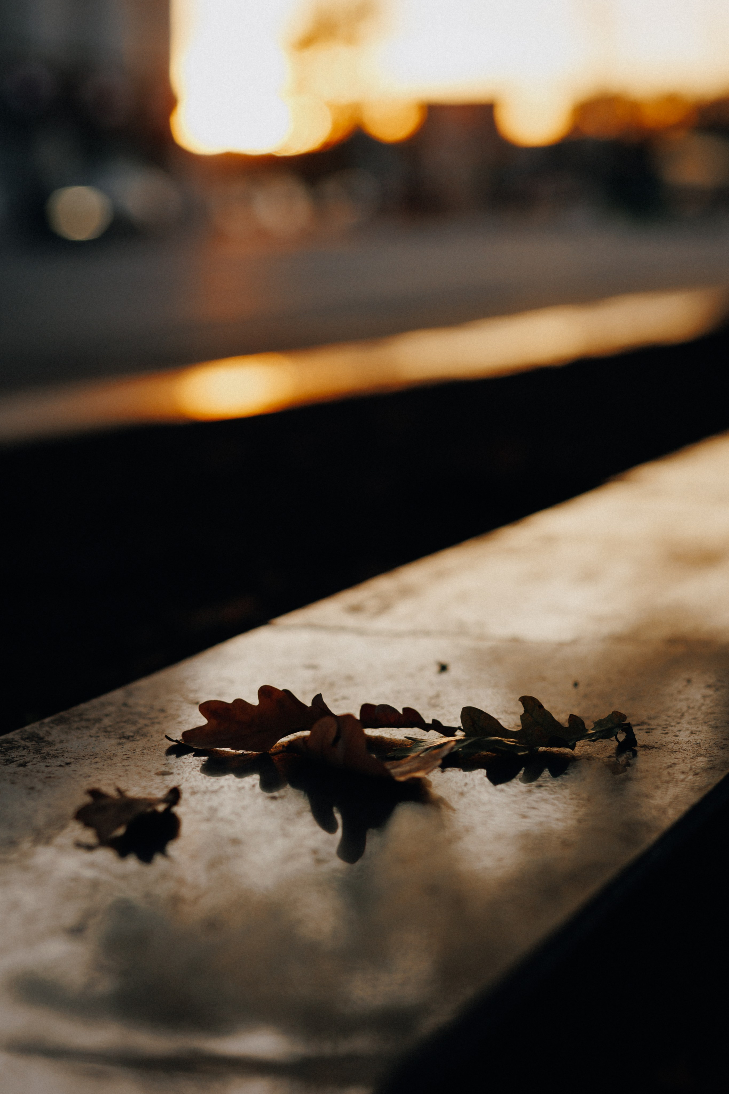 Осенняя фотосессия для Светы. Свадебный и семейный фотограф Витебск, Минск, Андрей Павлов