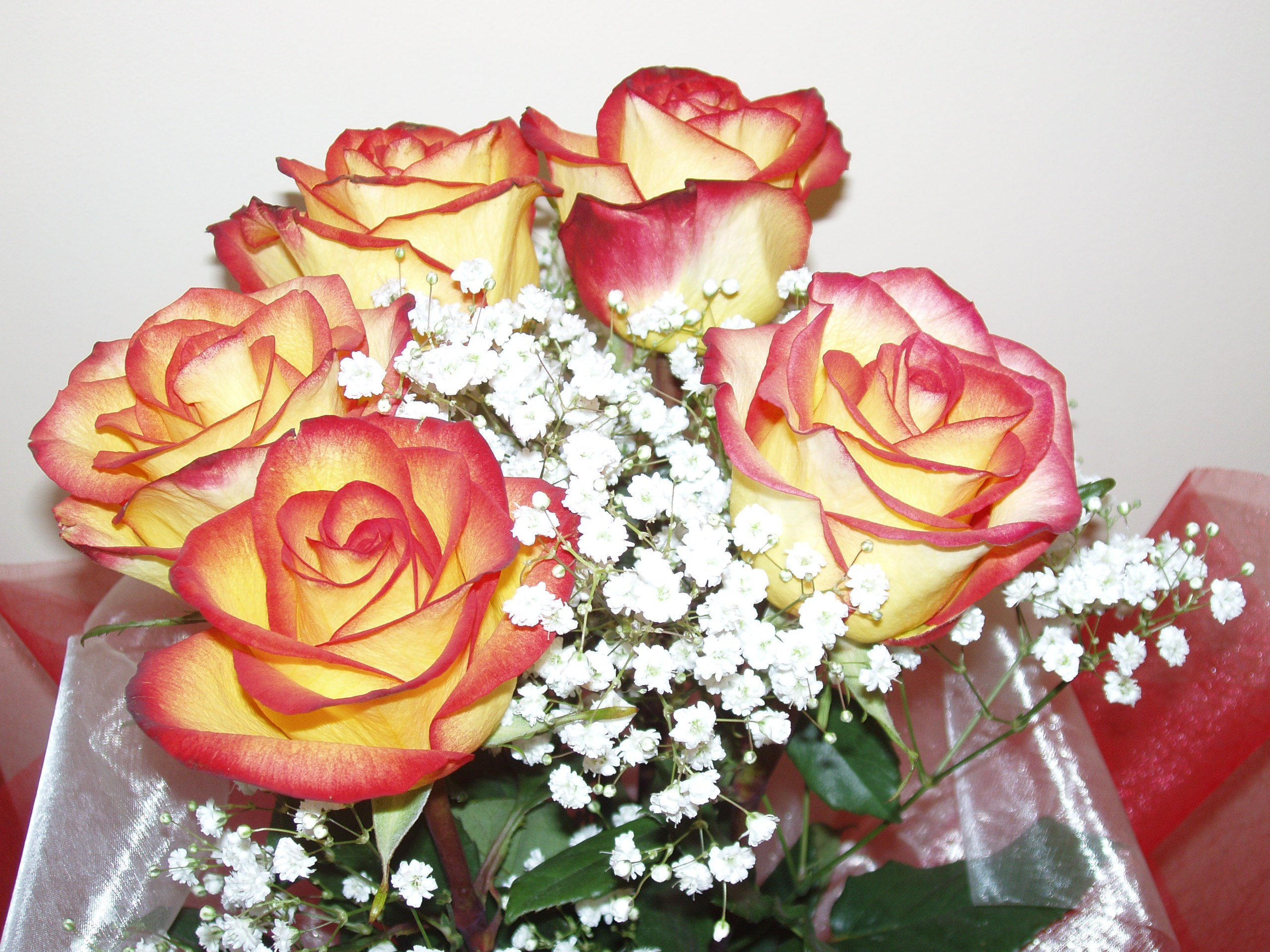 Мама ДР 30.06.2012. Семейный, Свадебный фотограф СПБ Питер— Романова Екатерина