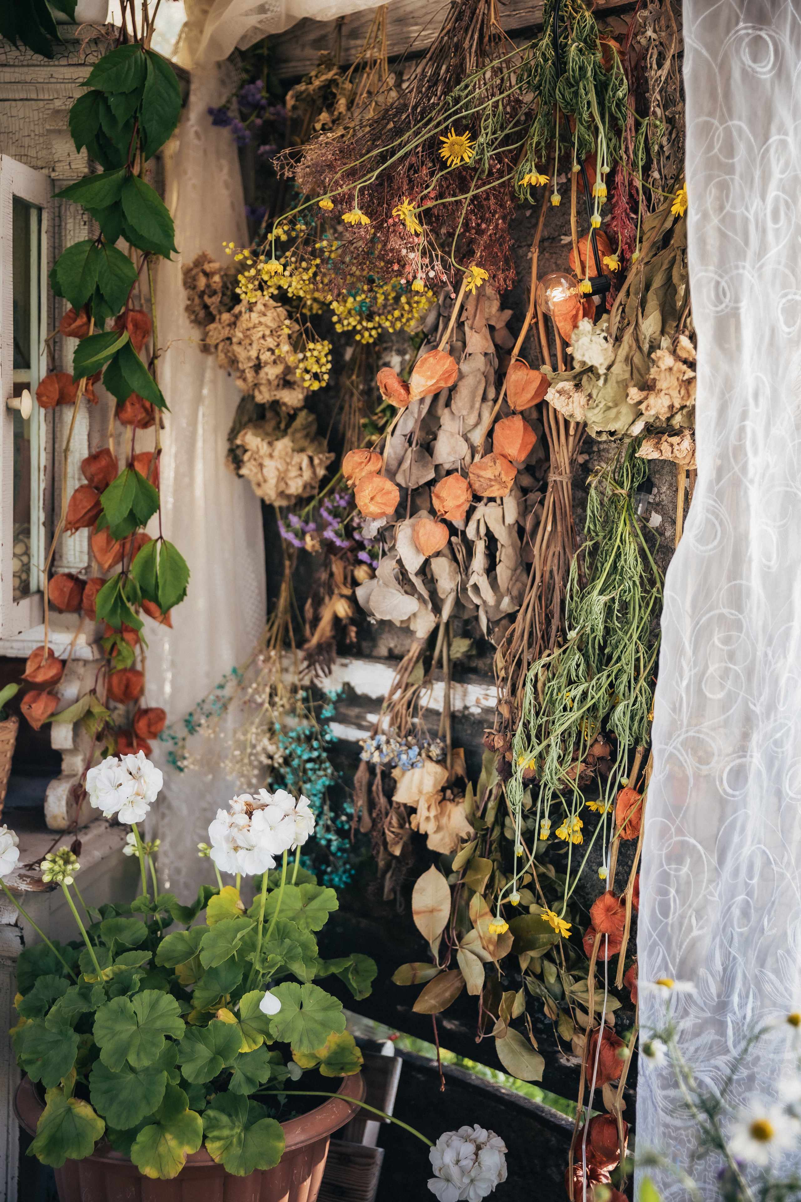 Осеннее настроение. Фотограф в Канске Нина Пуряева