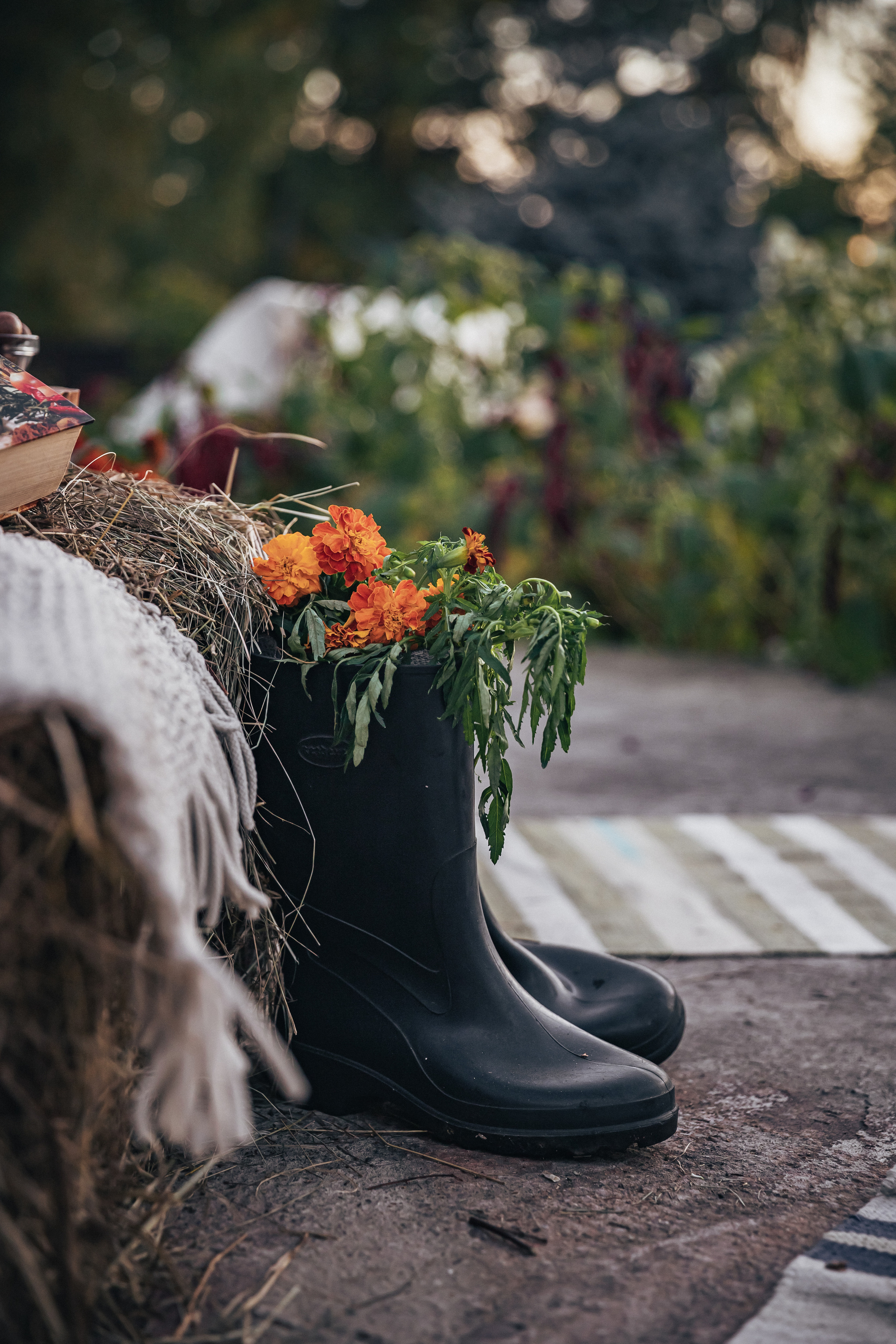 Осеннее настроение. Фотограф в Канске Нина Пуряева