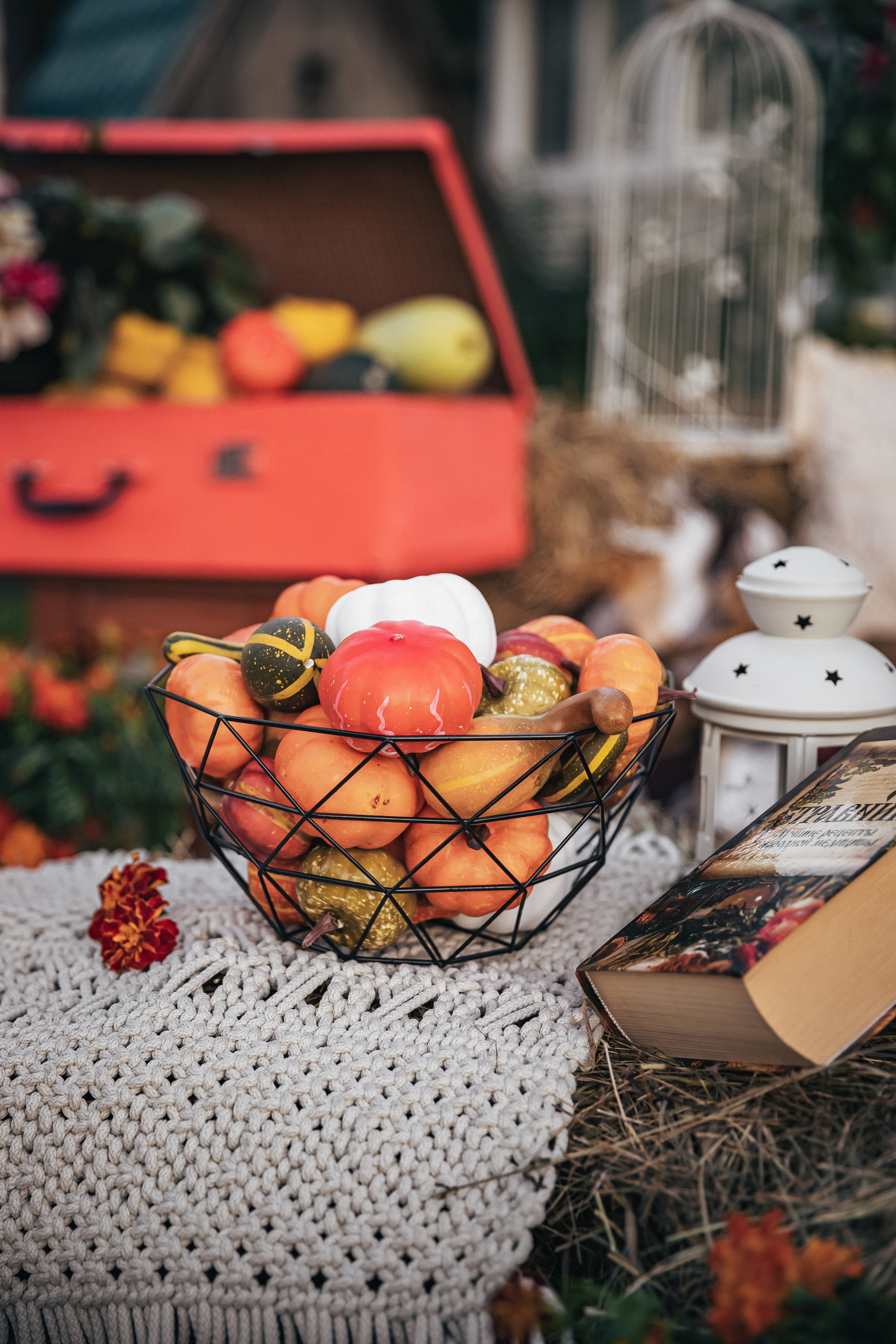 Осеннее настроение. Фотограф в Канске Нина Пуряева