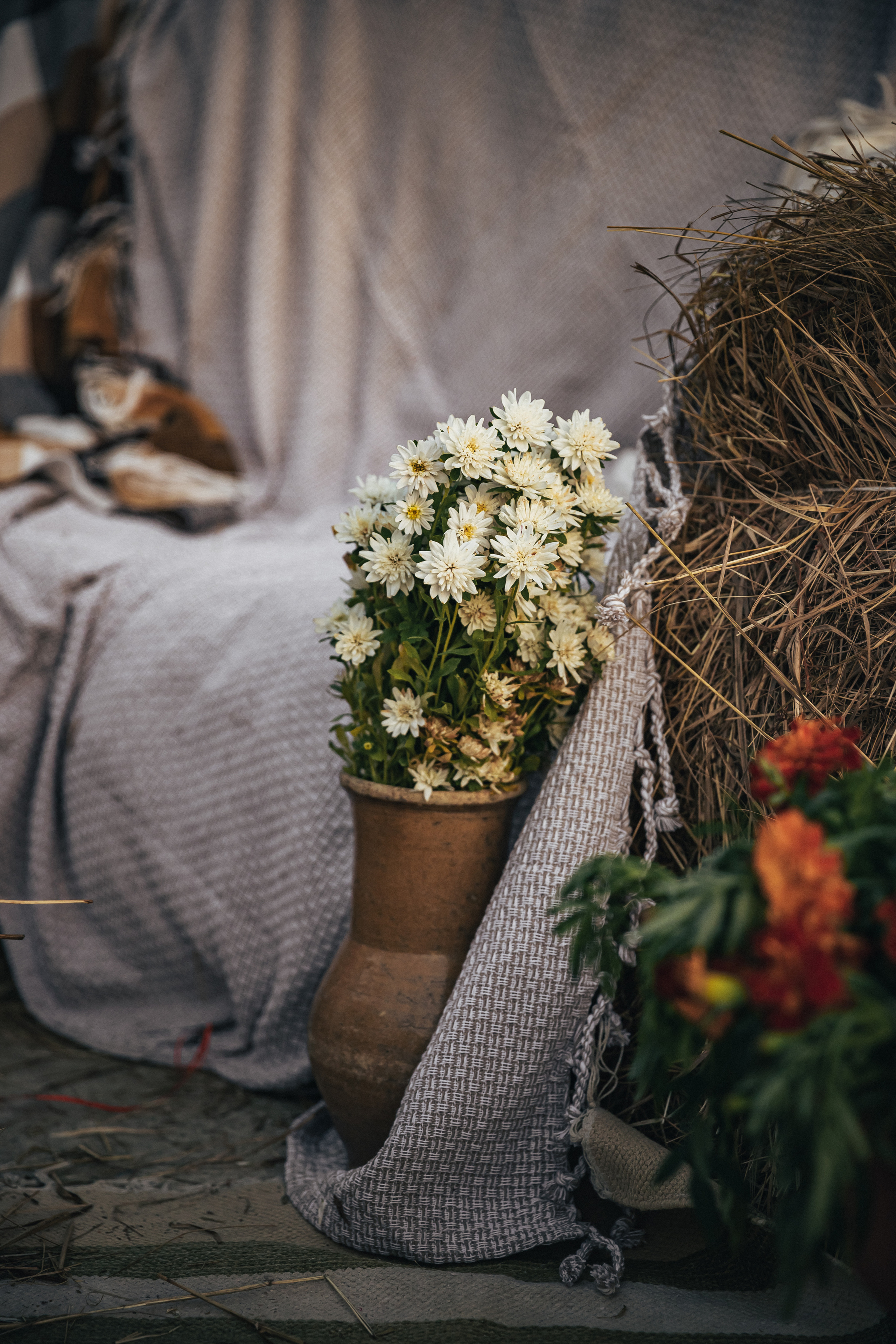 Осеннее настроение. Фотограф в Канске Нина Пуряева