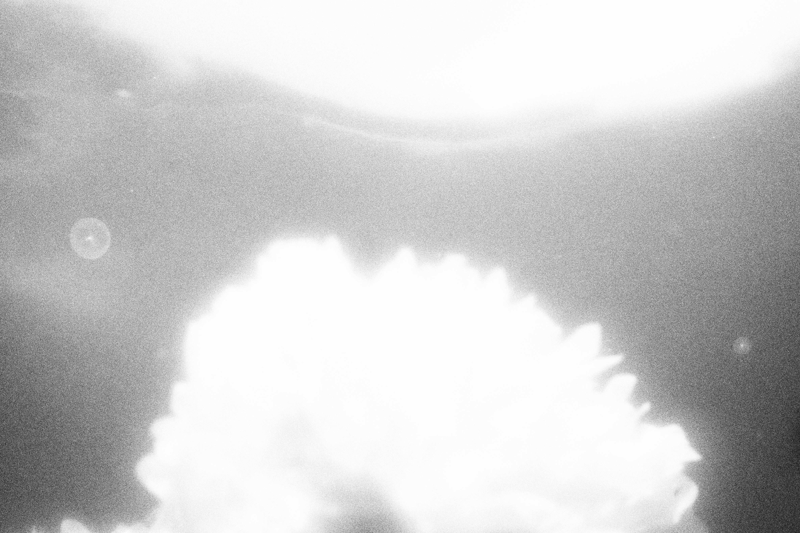 «Видеть. Чувствовать. Сохранять»