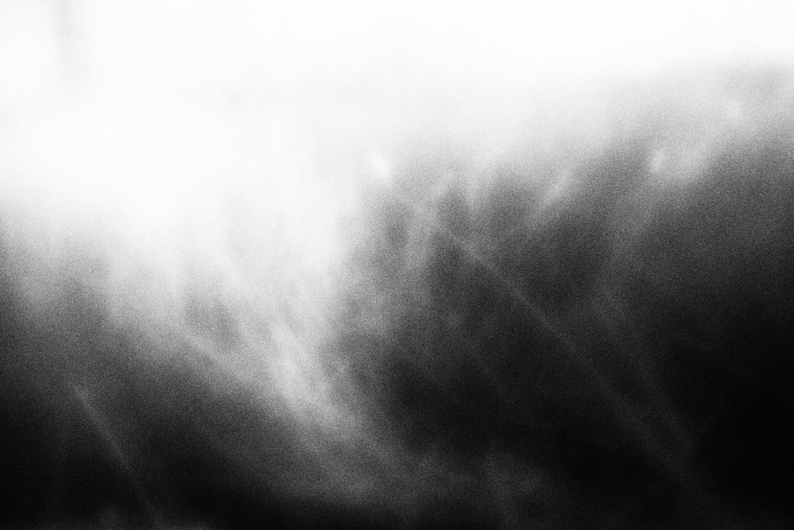 «Видеть. Чувствовать. Сохранять»