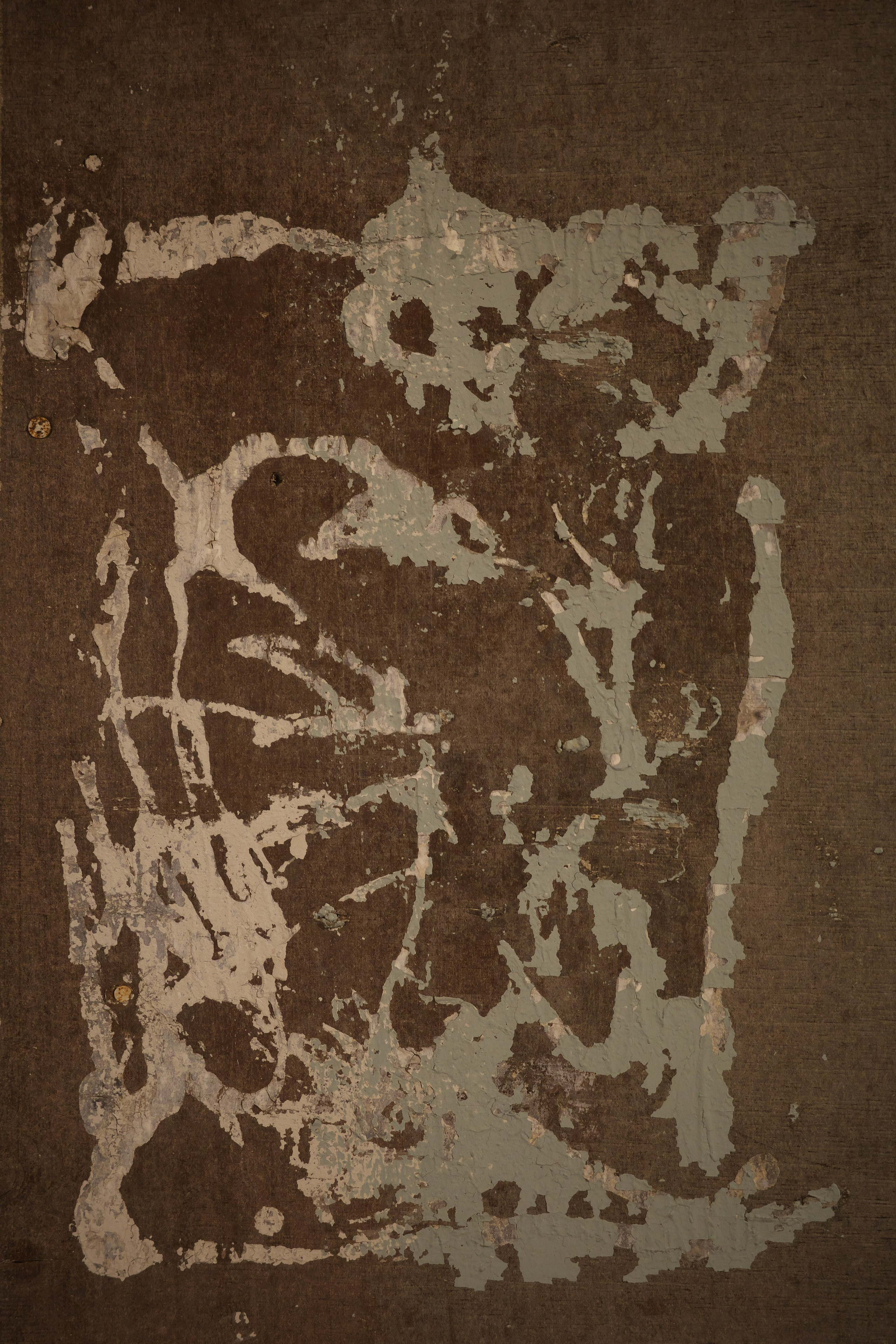 Стены. Миша Печёнкин | фотография