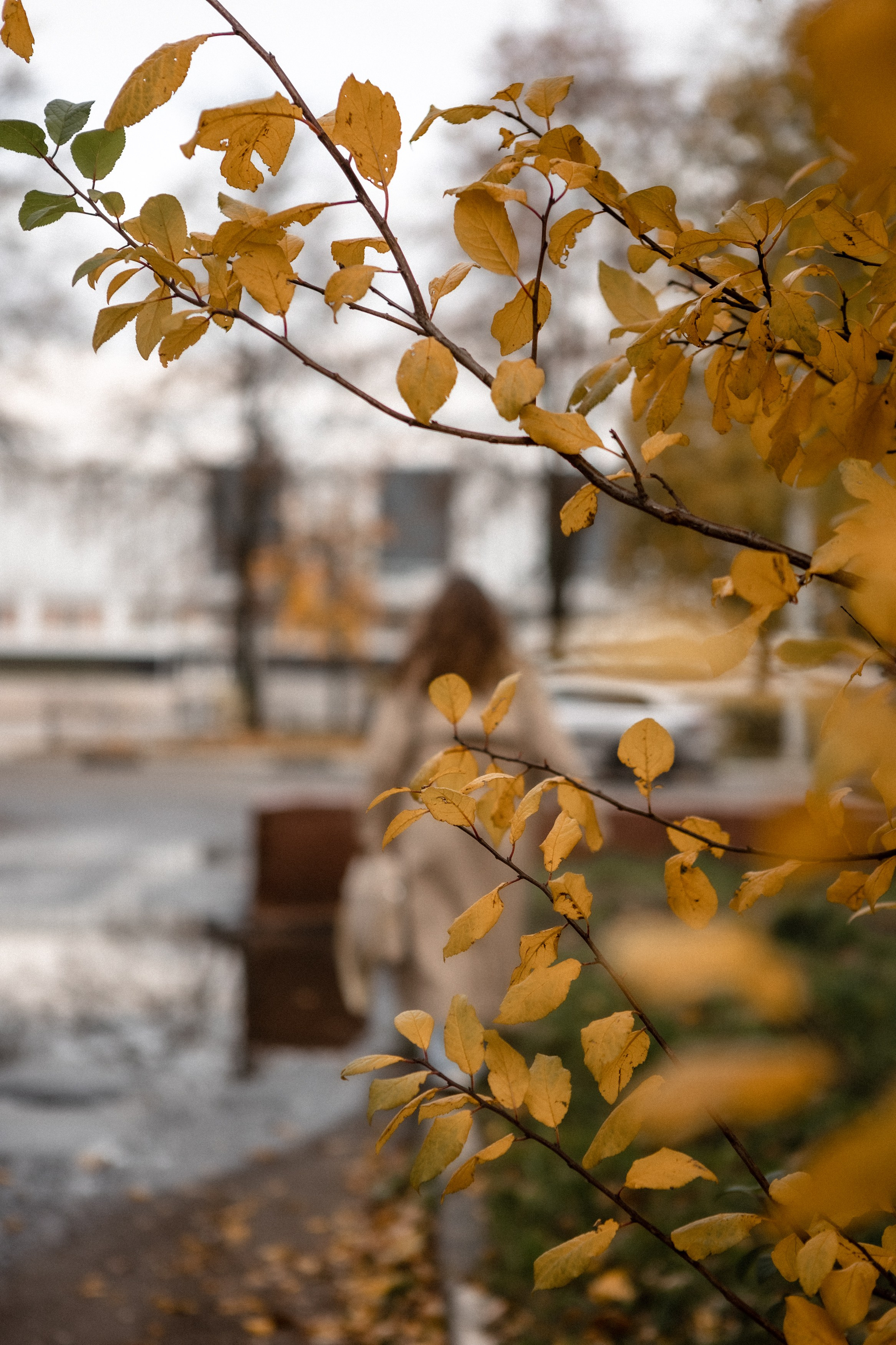 Анастасия. Фотосессия для контента. Фотограф Москва и Московская область