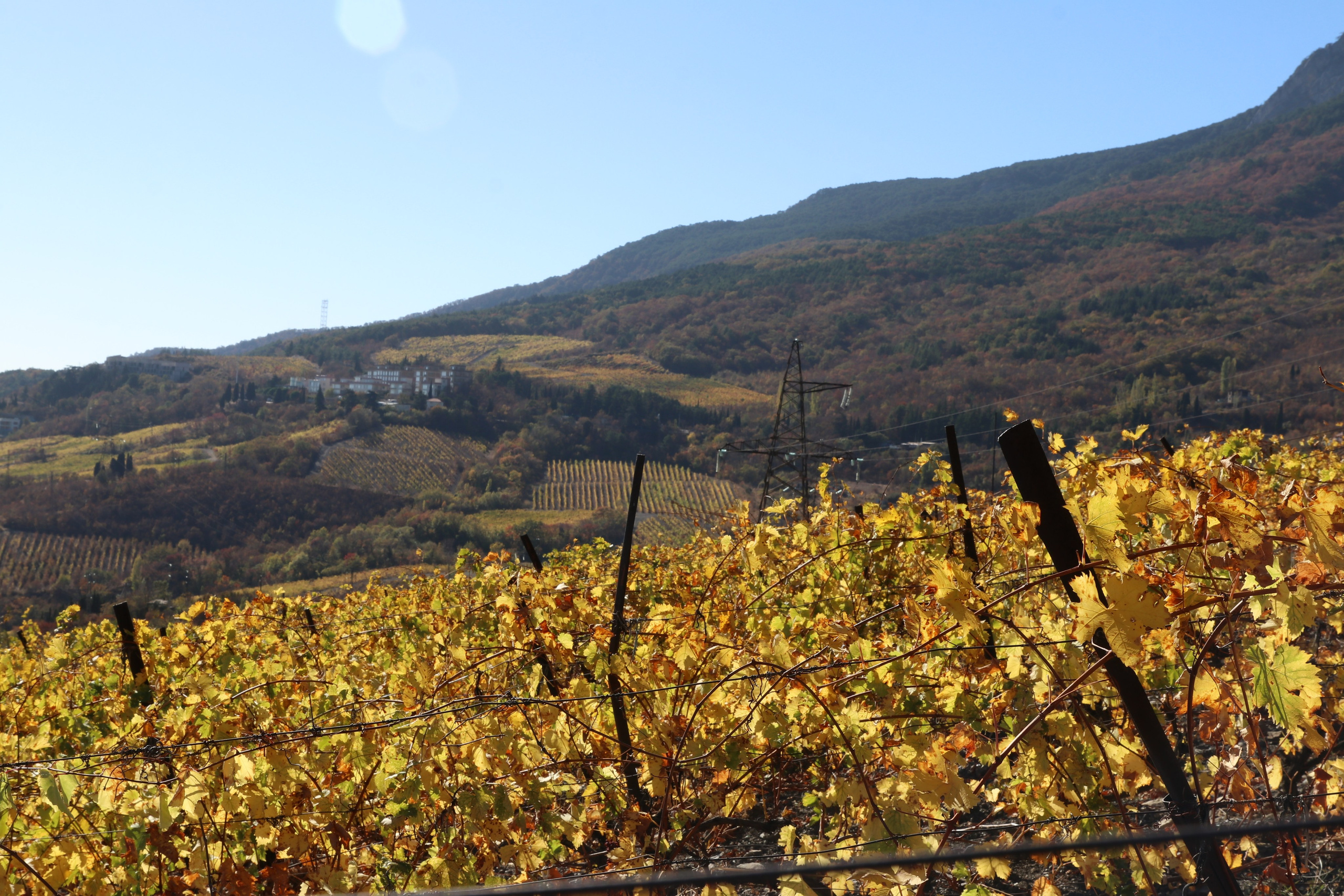 Крым. ЮБК (Гурзуф, Судак и их окрестности). Ноябрь 2023. Путешественник-фотограф из Санкт-Петербурга Татьяна Свистулина