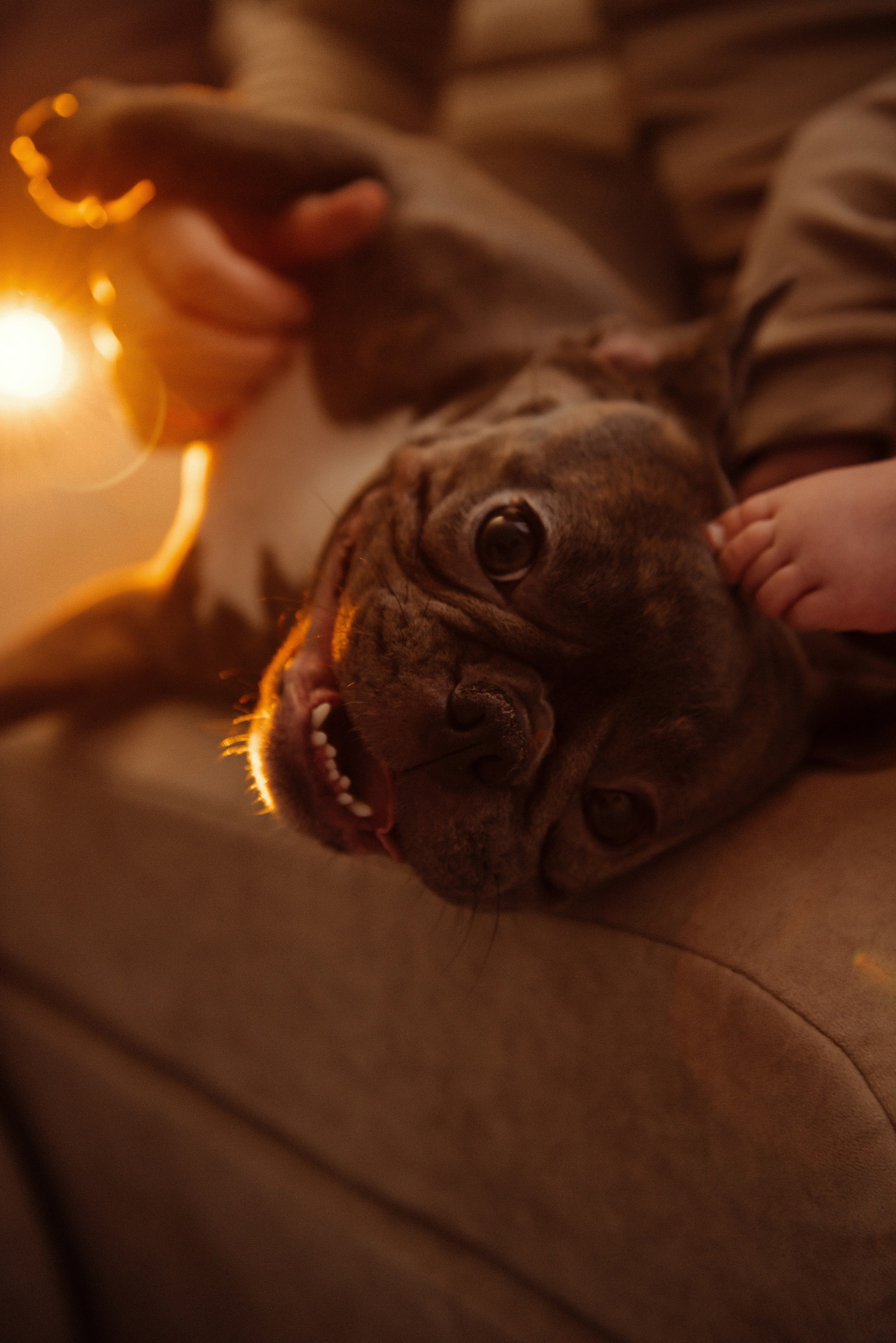 Катя. Свадебный, портретный, фотограф беременности в Нижнем Новгороде Алина Зиновьева