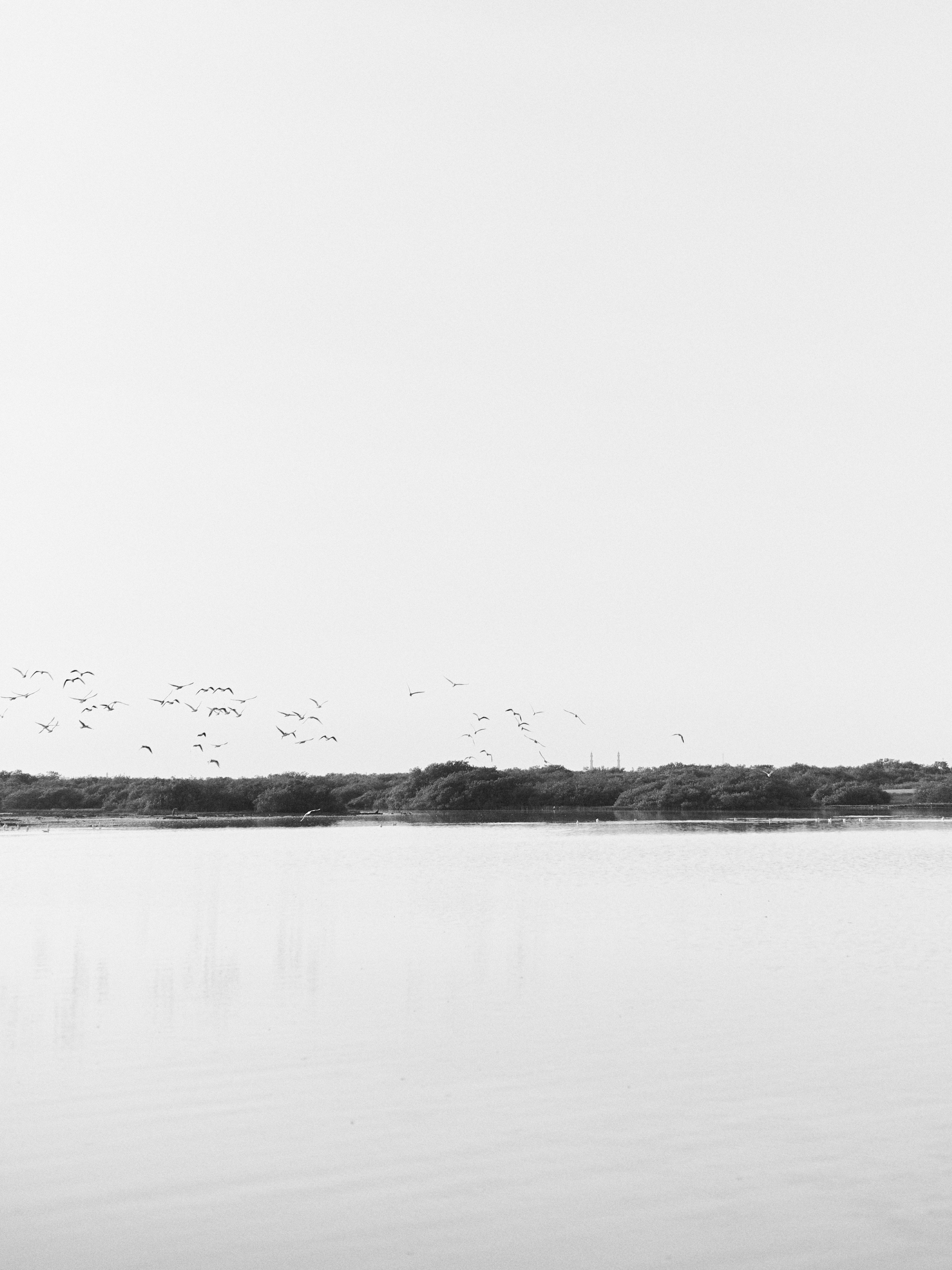 Другое 3. Jorgis Talè — photographer, kind person, teacher of arts and other mag