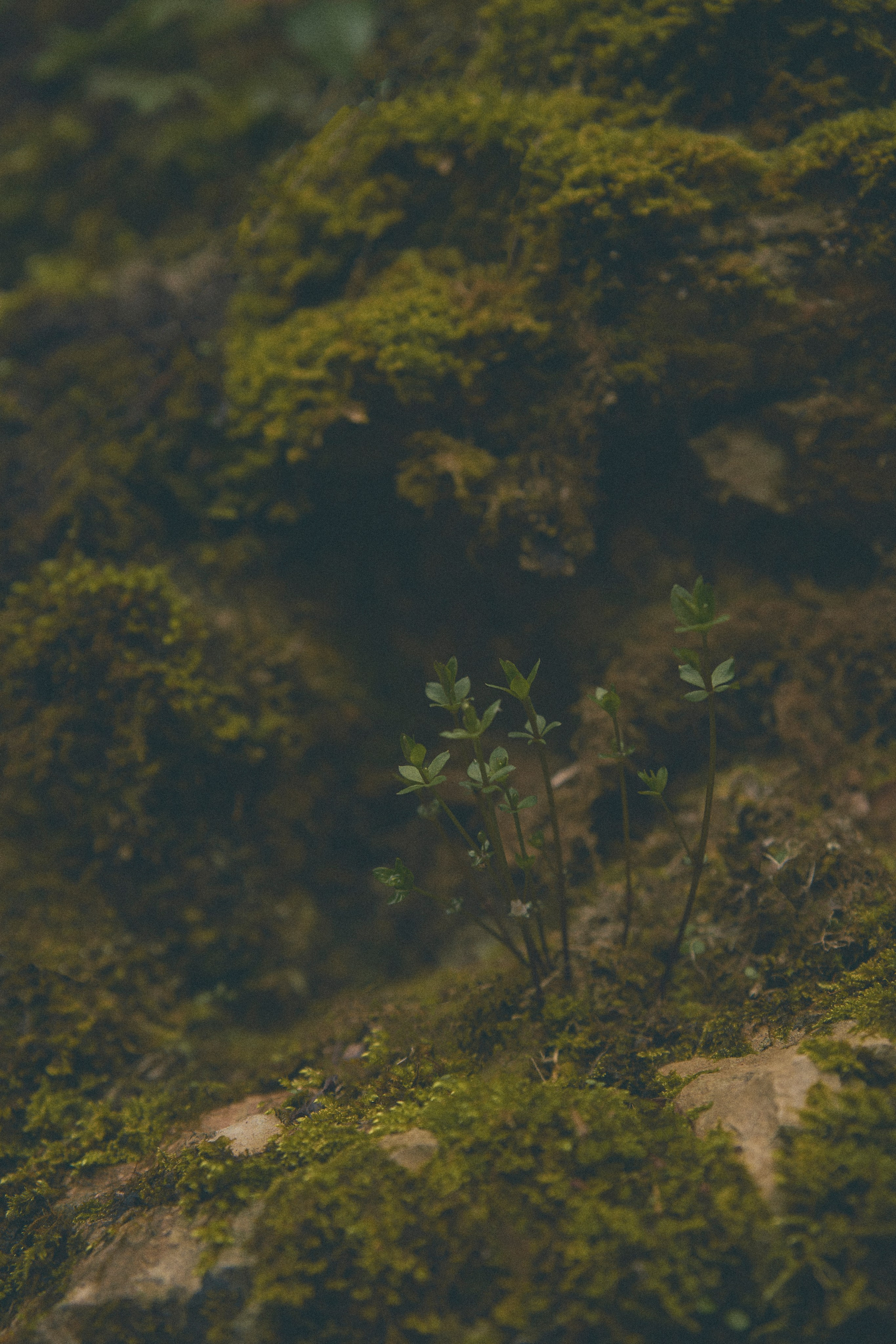 Krasnodar. Гасанова Алина|Фотограф в Санкт-Петербурге