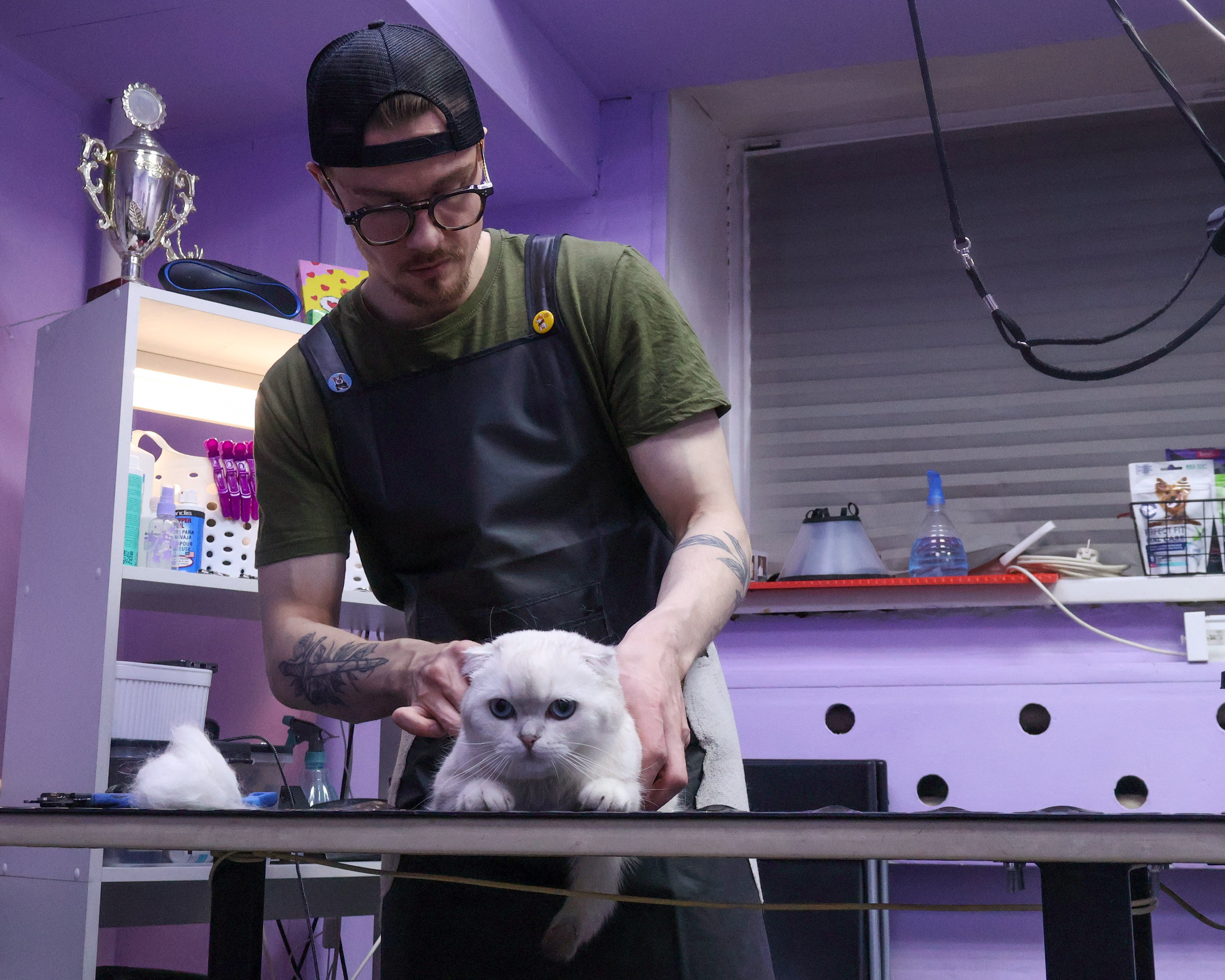 Усы, лапы, хвост. Фотограф ChelFedor