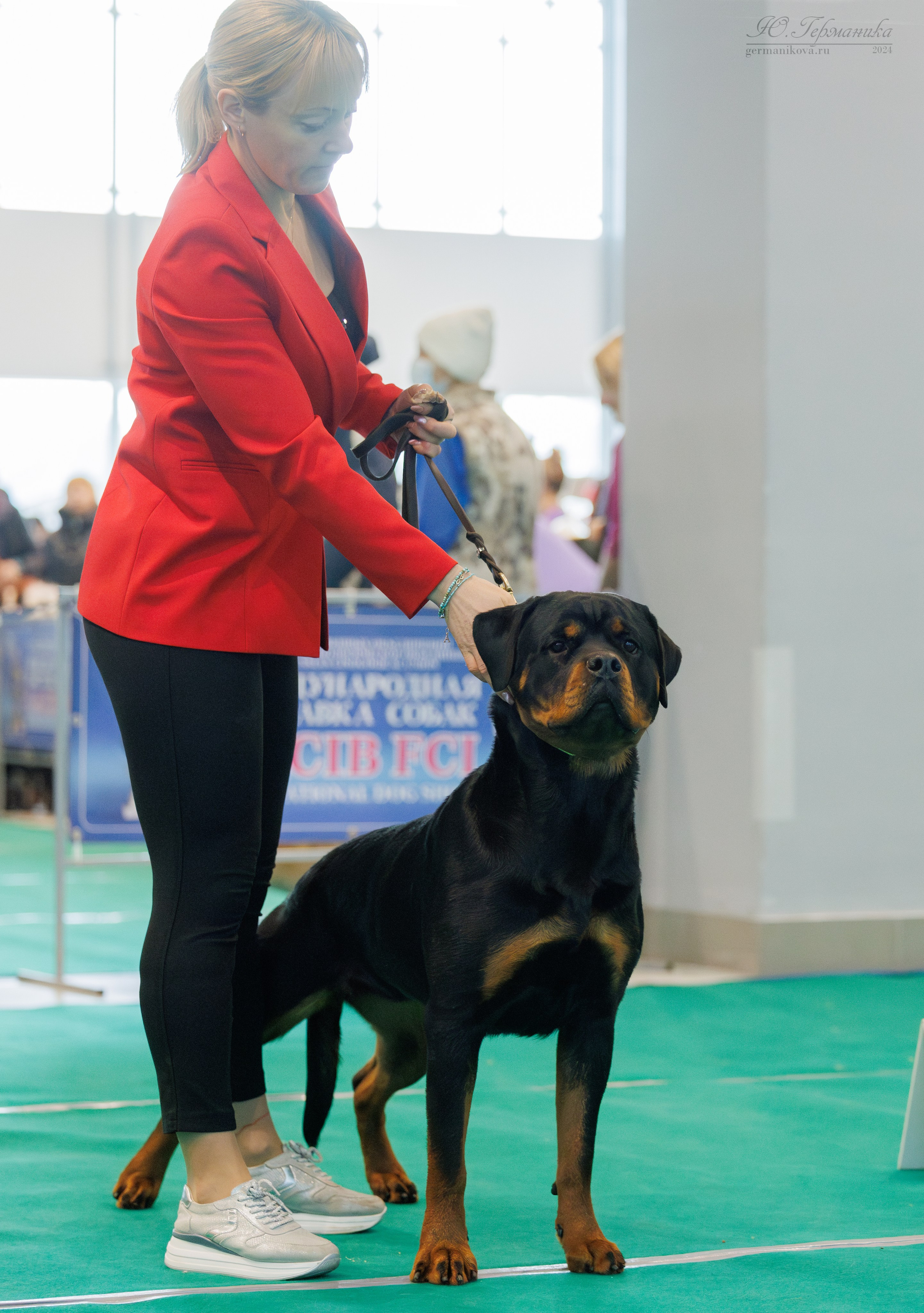 Минск 23.11.2024. Фотограф-анималист Юлия Германика